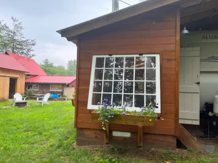 ADK Treehugger's Paradise