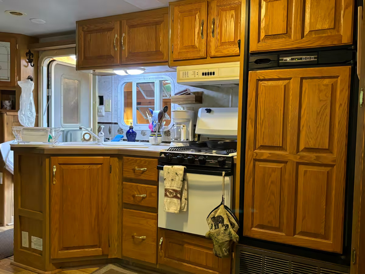 ADK Treehugger's Paradise