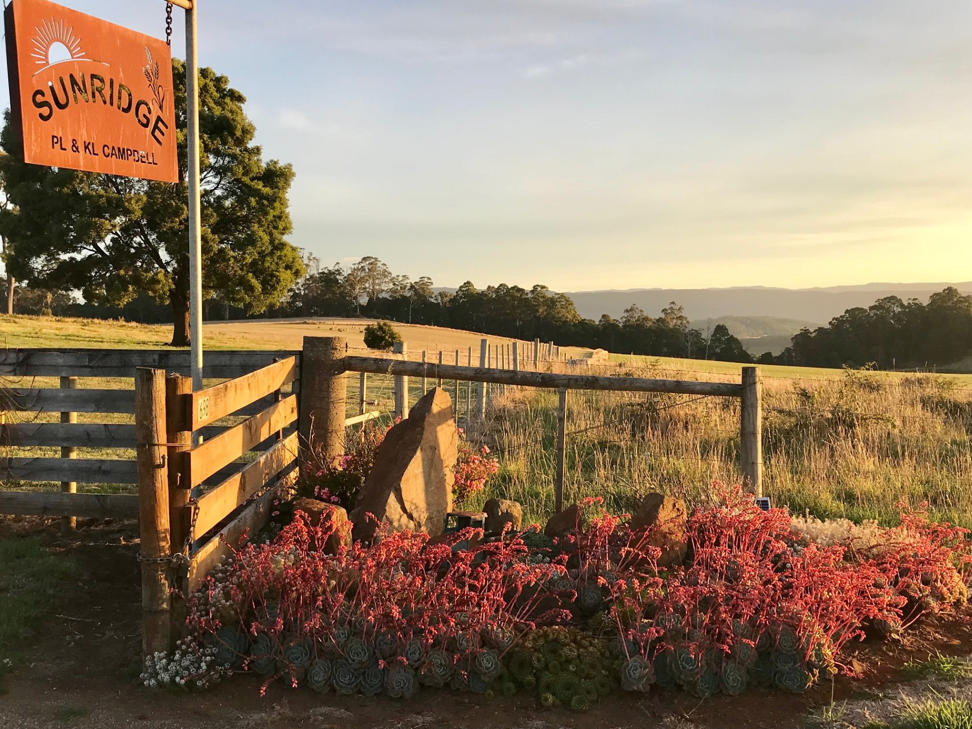 Sunridge Valley Views