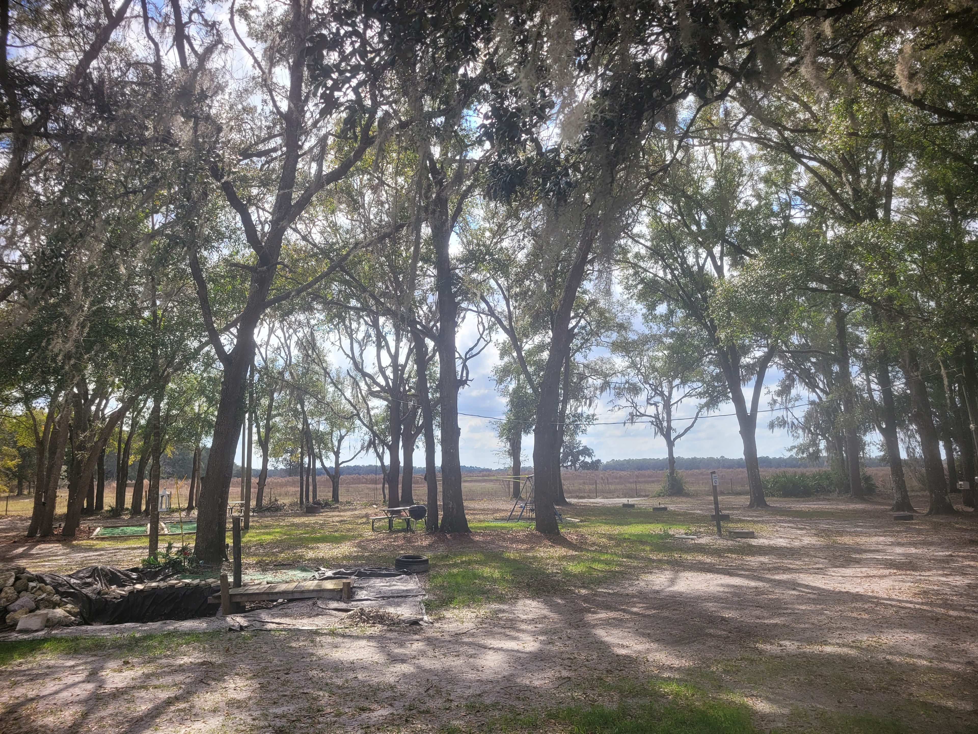 Nature's hug camping