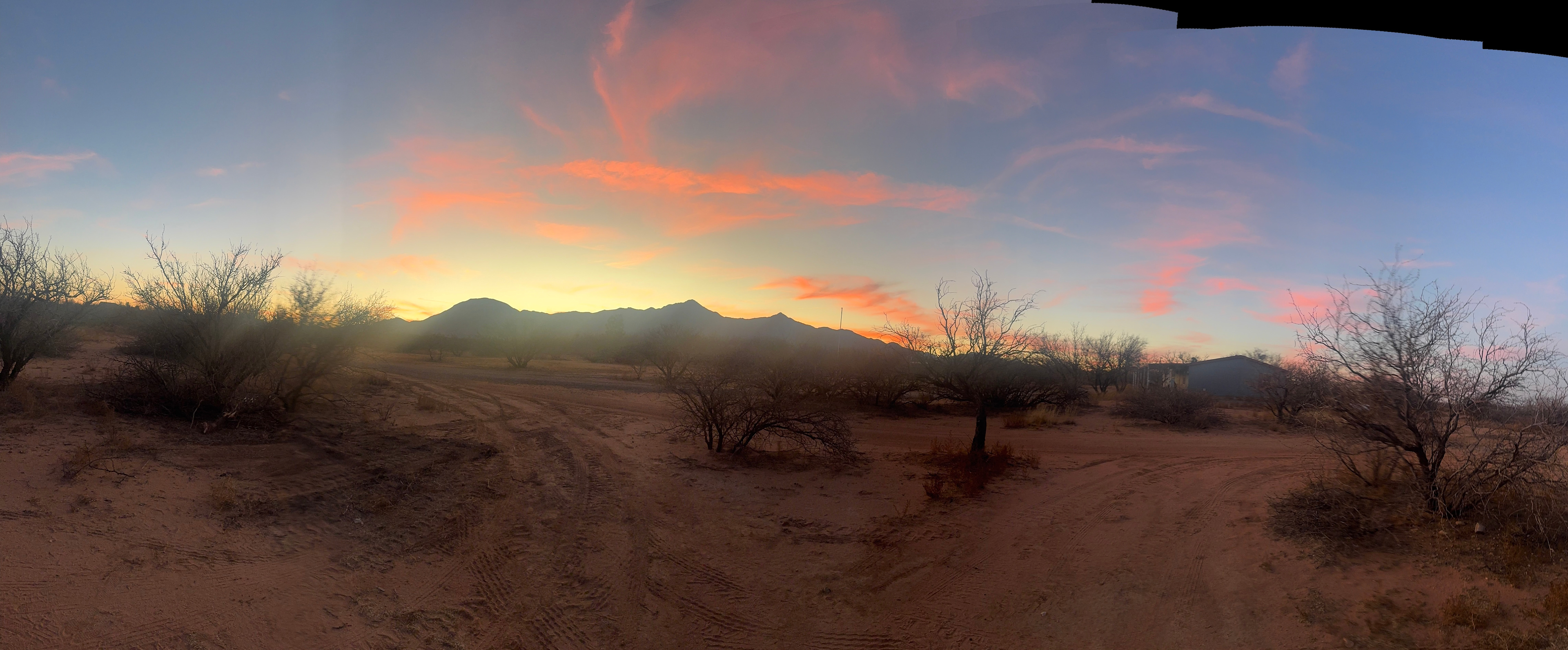 Misfit acres at SKY ISLAND