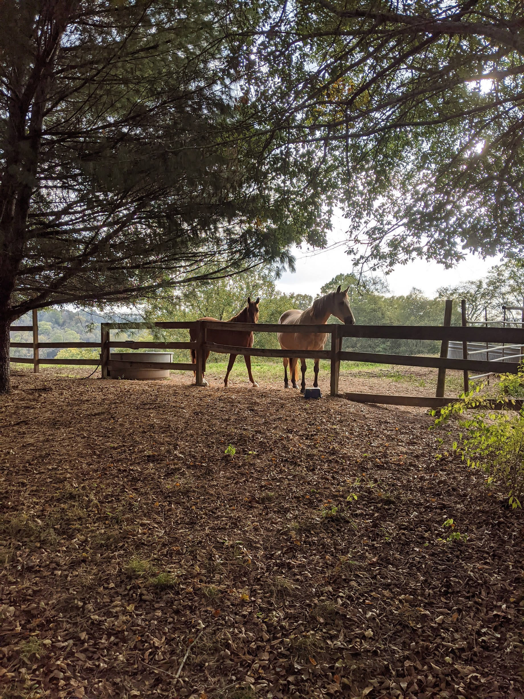 Secluded Horse Farm With Cabins