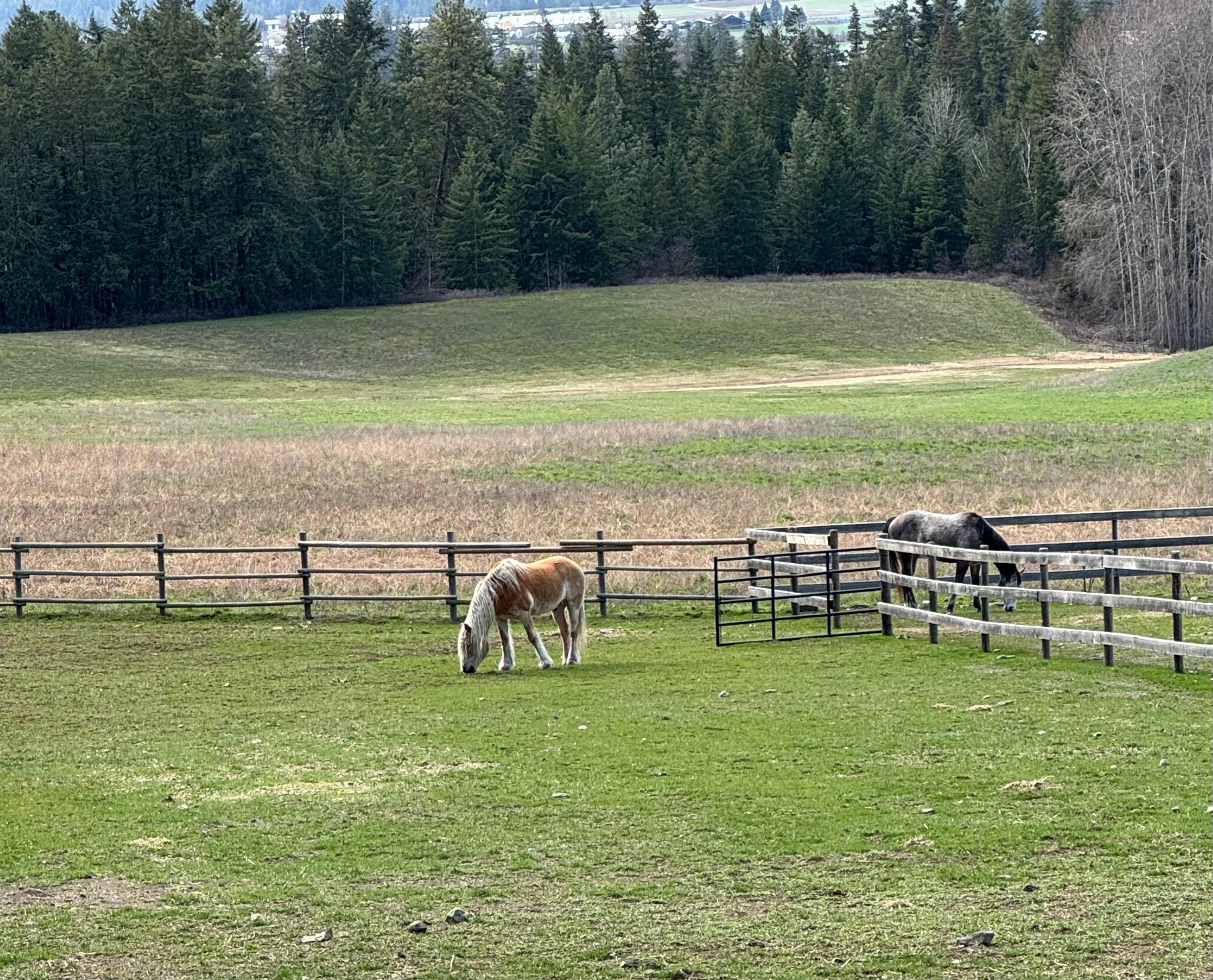 Haven Hill Family Farm