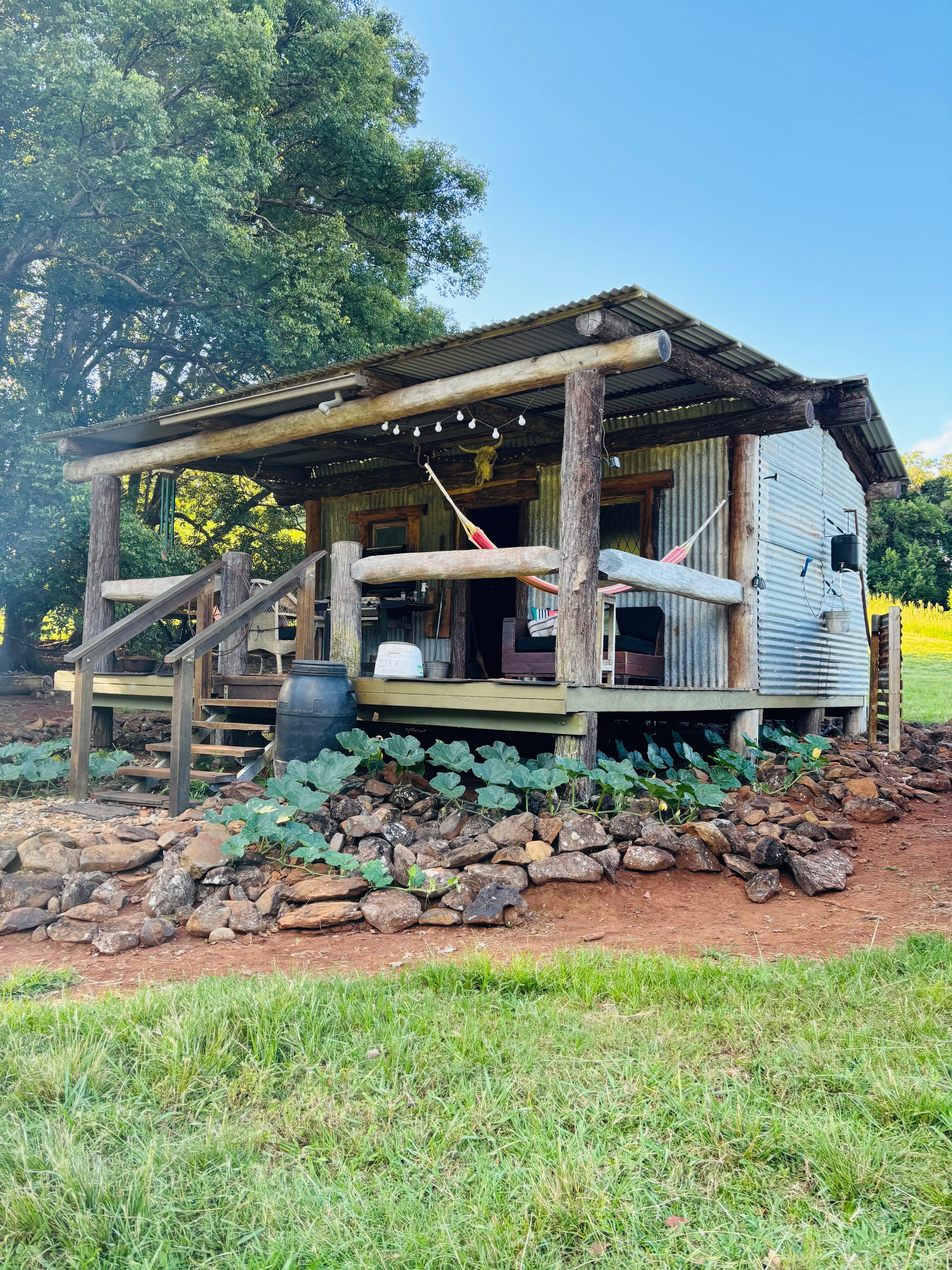 Barachi by the Creek