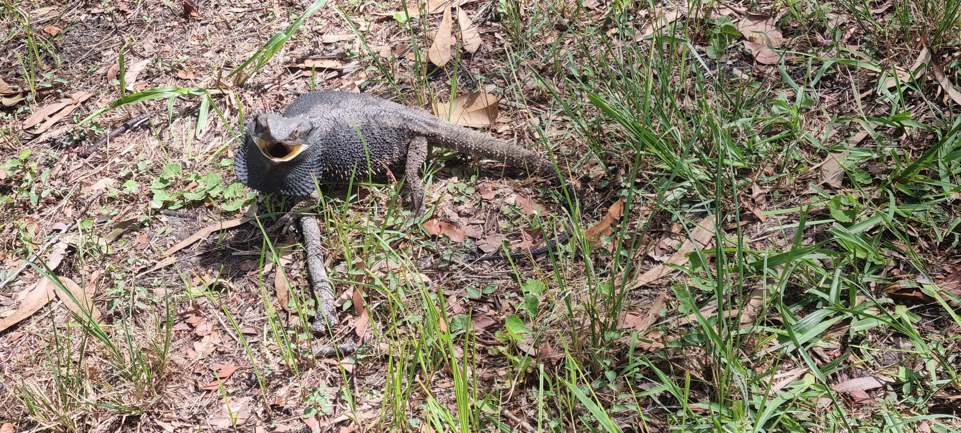 Sandy Straits Hipcamp