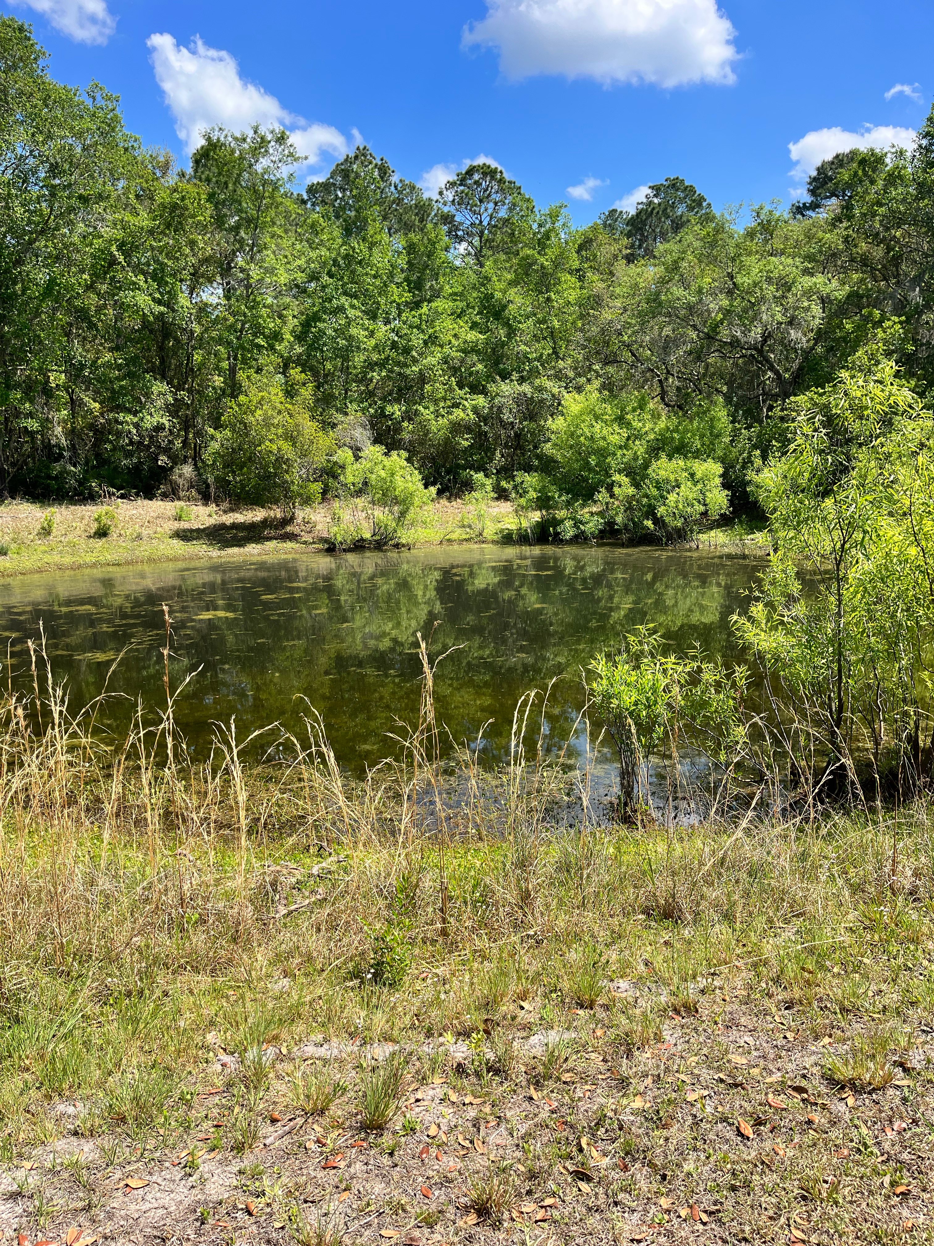 Whispering Oaks Lakeside Sanctuary