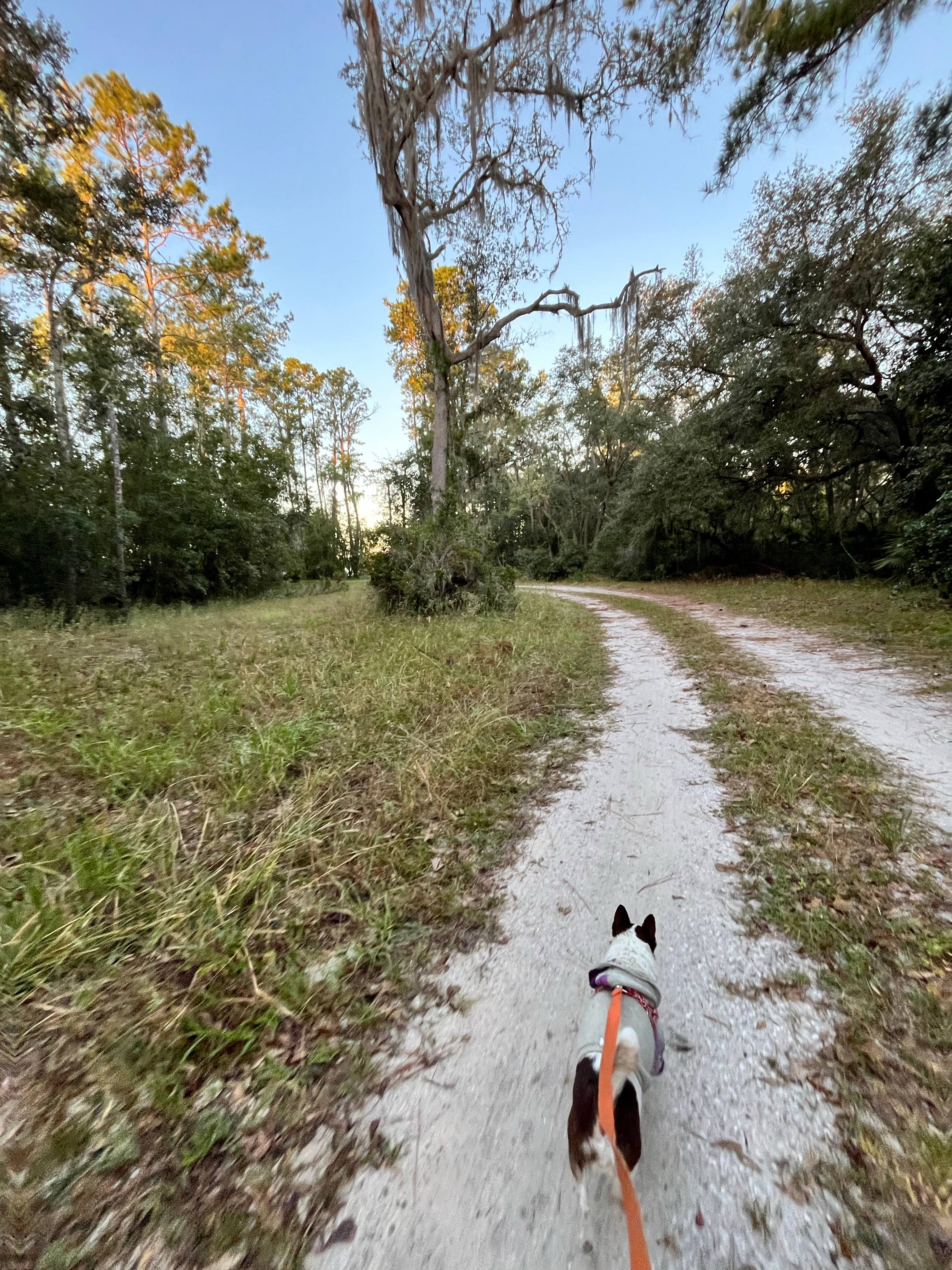 Whispering Oaks Lakeside Sanctuary