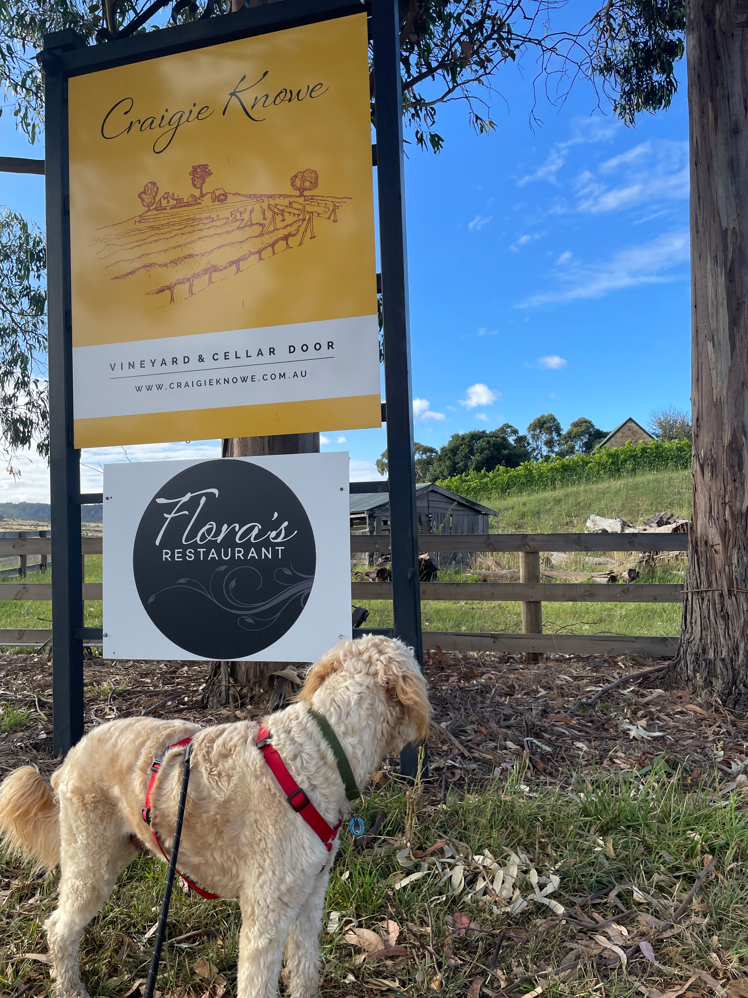 Restaurant & wine experience options just next door