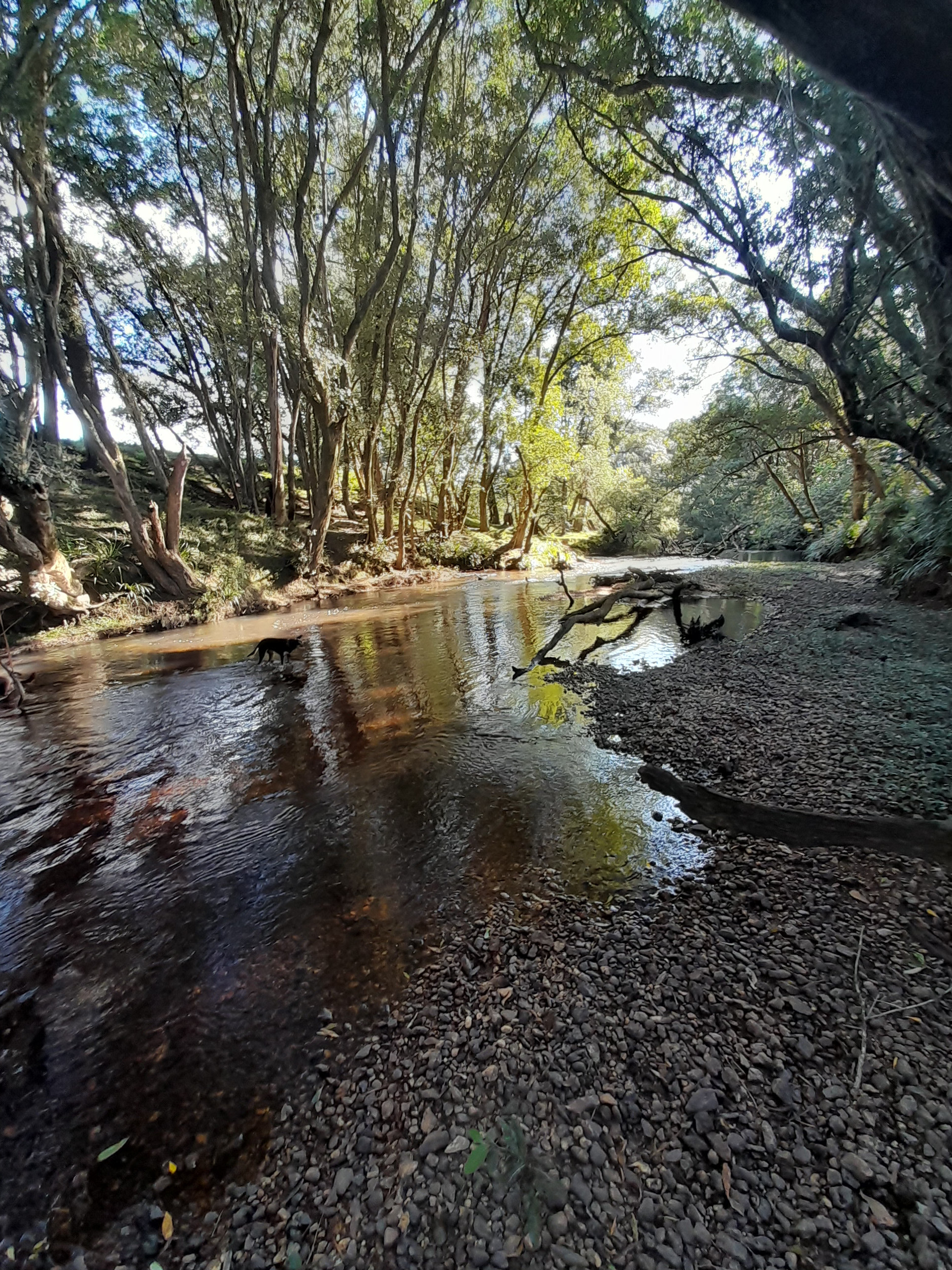 Utungen Freshwater Camp