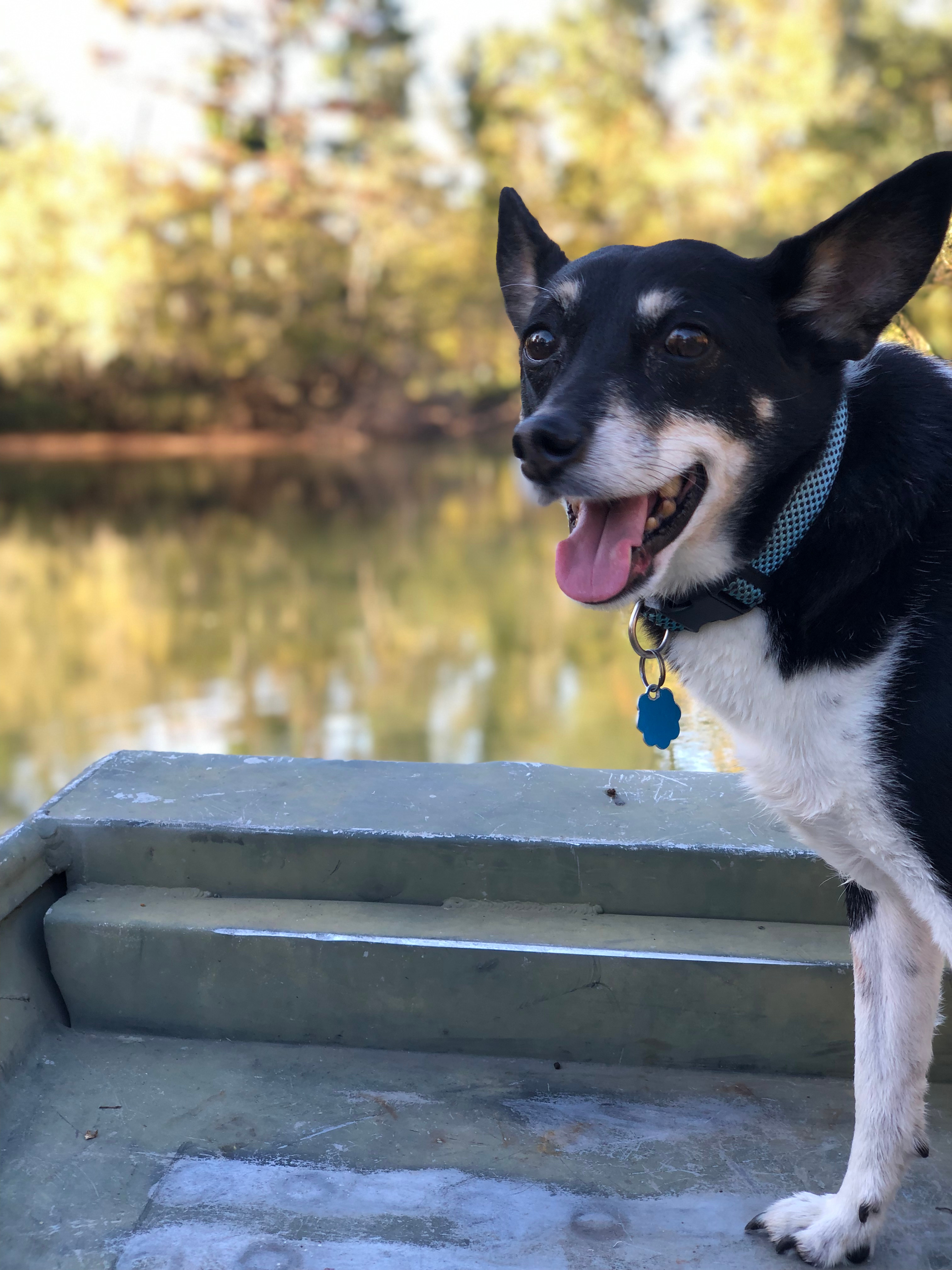 Charlie loves boat rides on the river