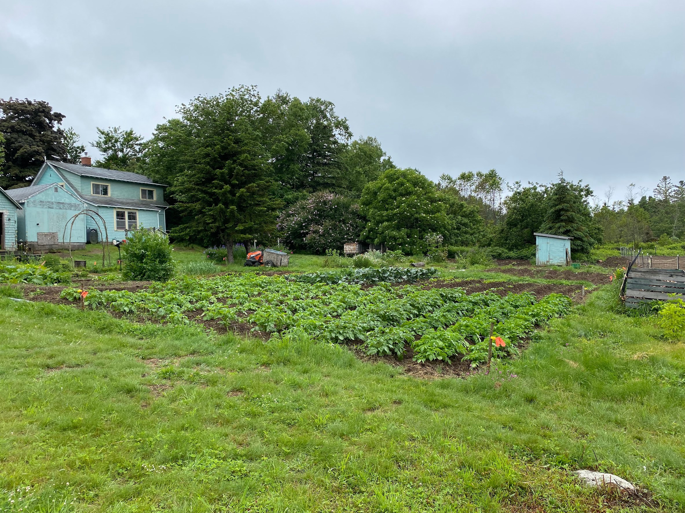 Mother Mushroom Farmstay