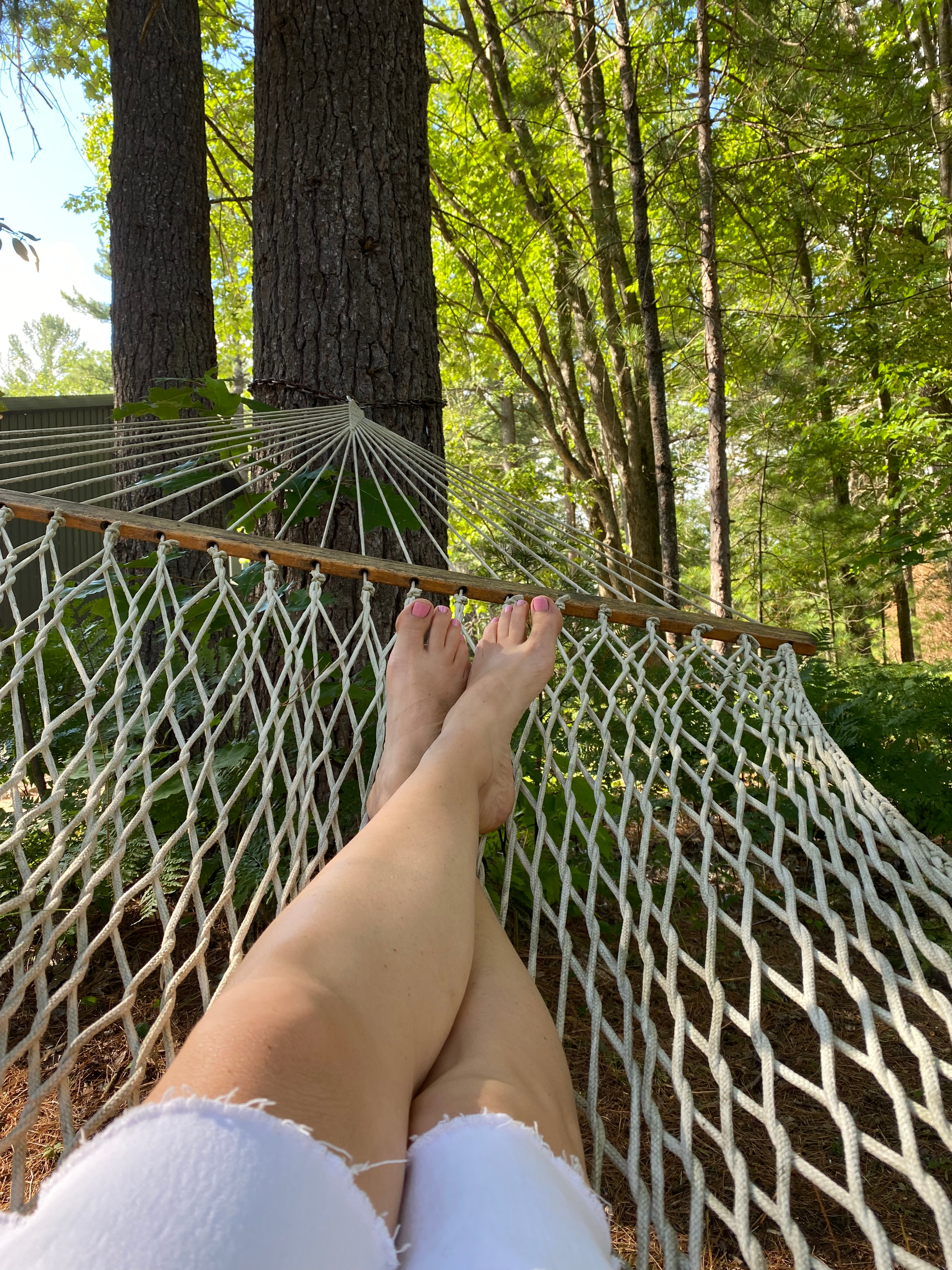 Hammerhead Shark Ranch