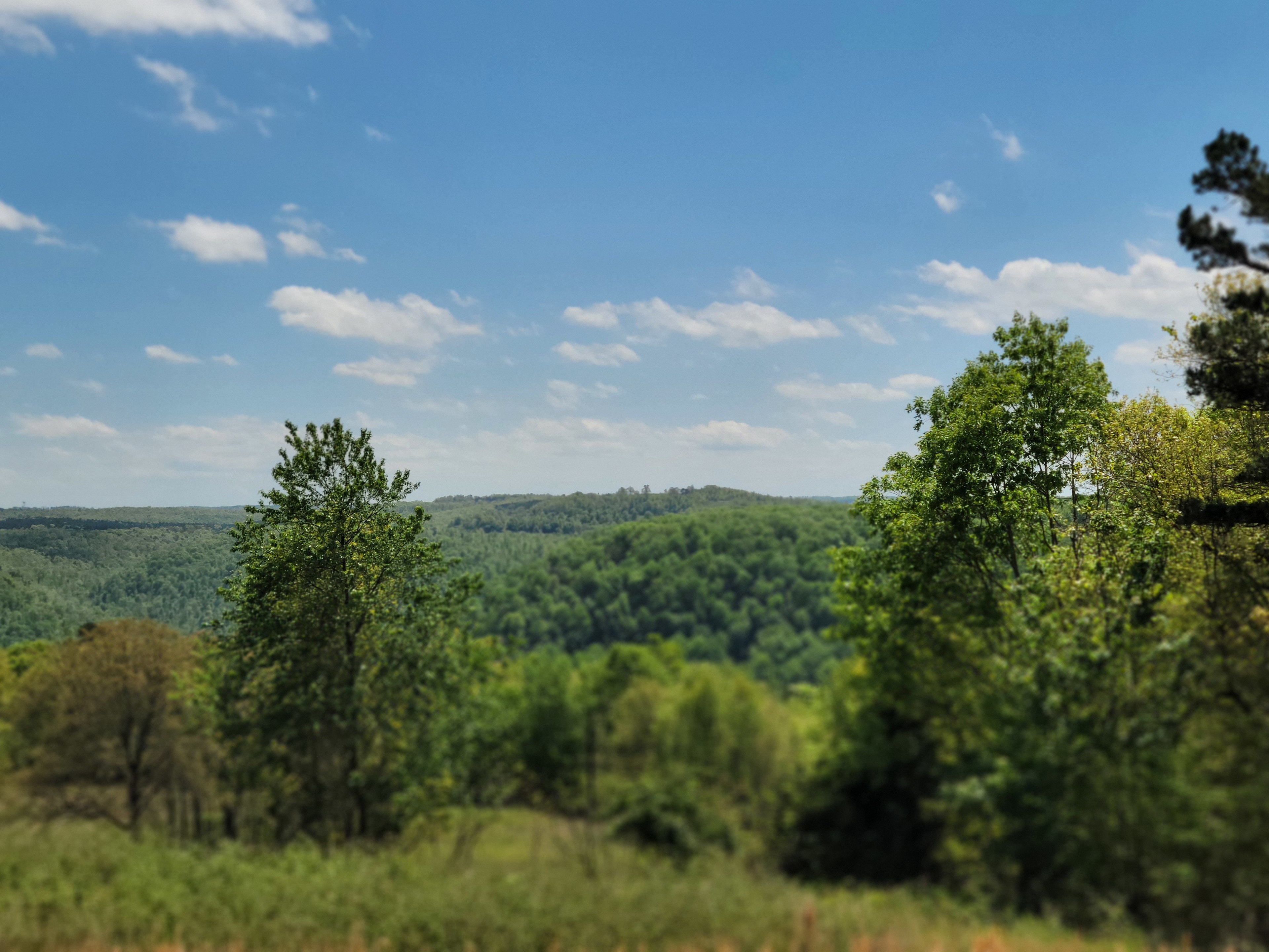 Enchanted Ozarks