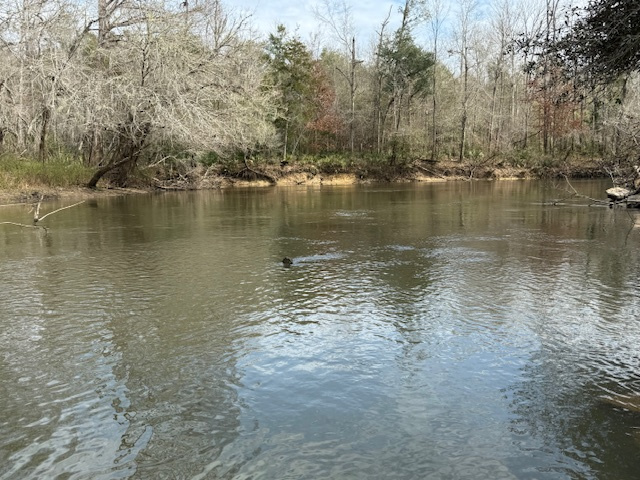 Sweetwater Daze River Camp