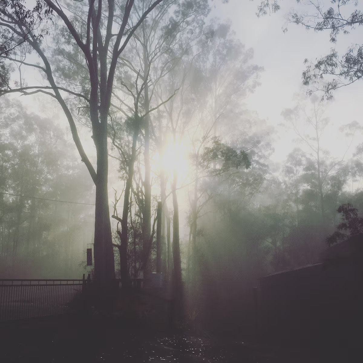 Walkabout Retreat