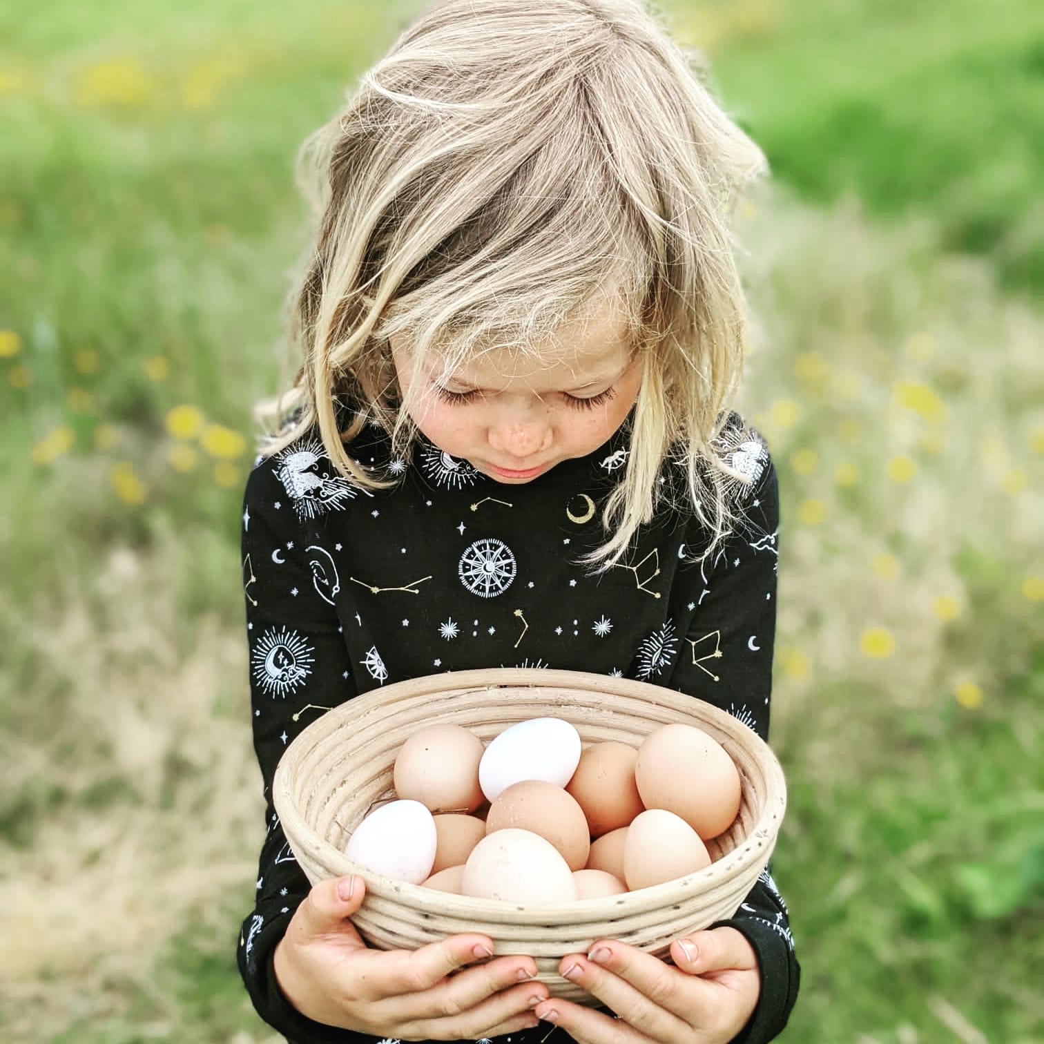 Quinta das Colinas, Cabin & Camping