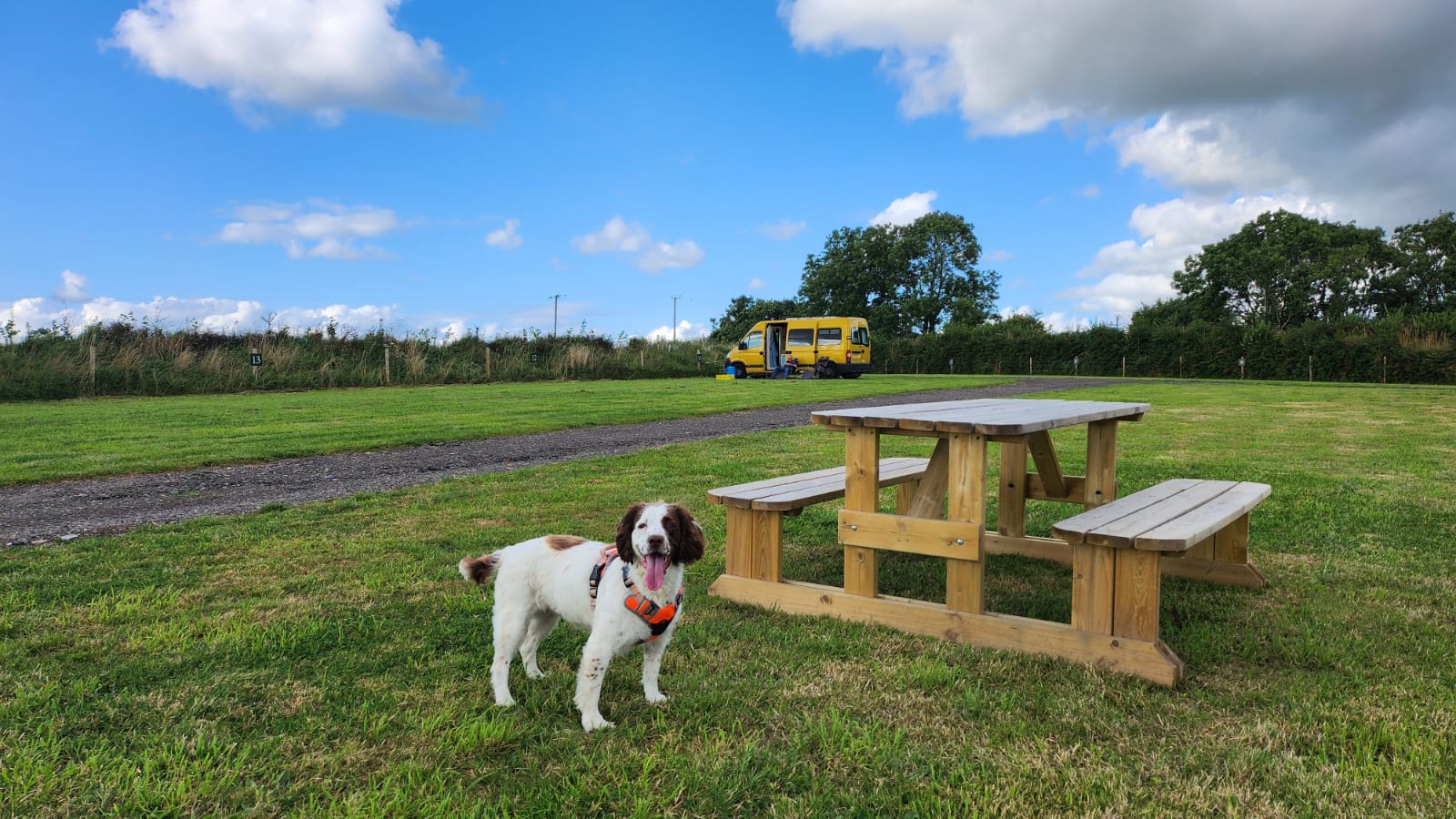 Harlings - camping in Devon