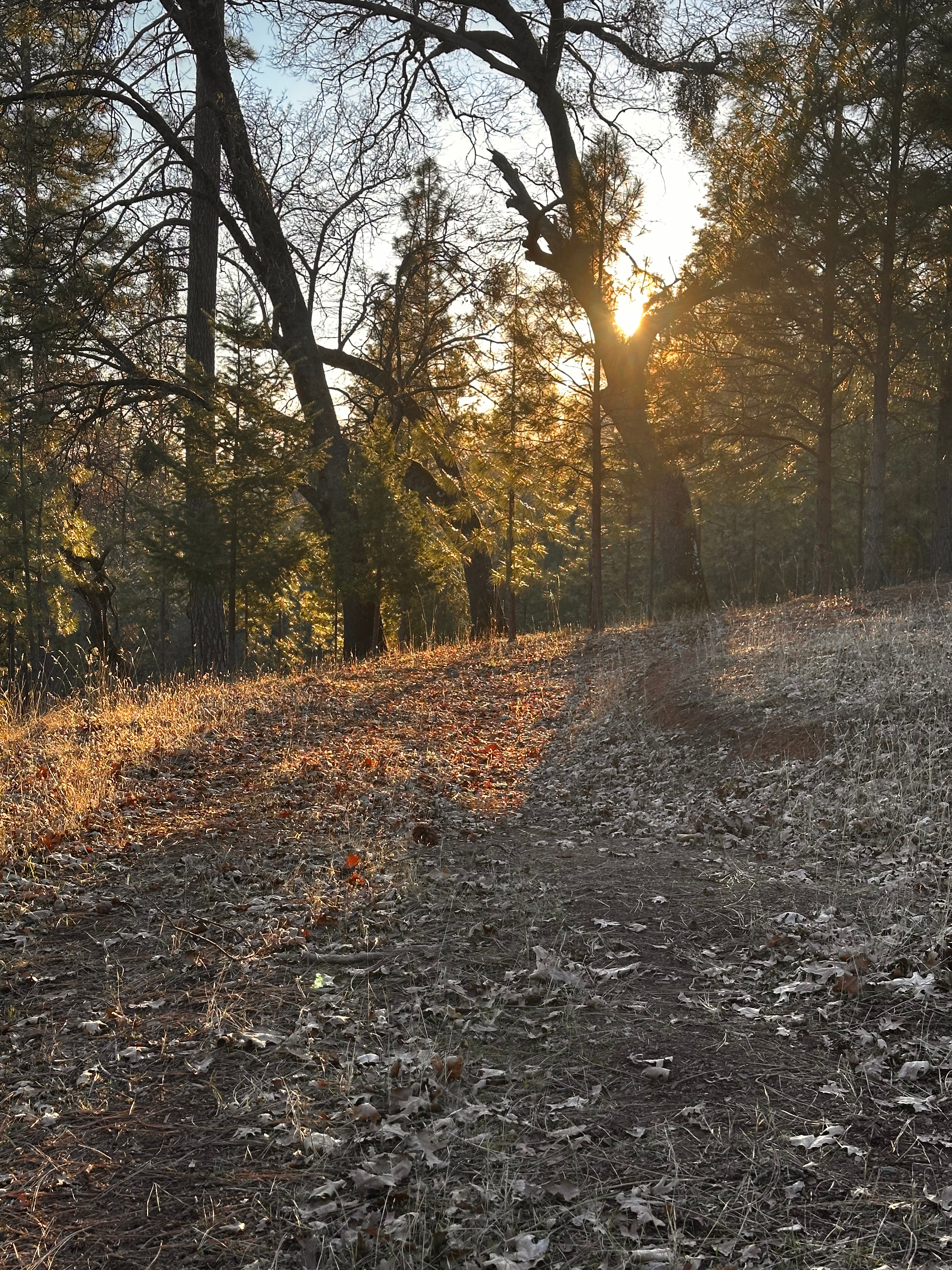 Kantu Outdoor Adventures