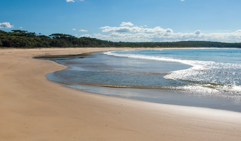 Meroo Head campground