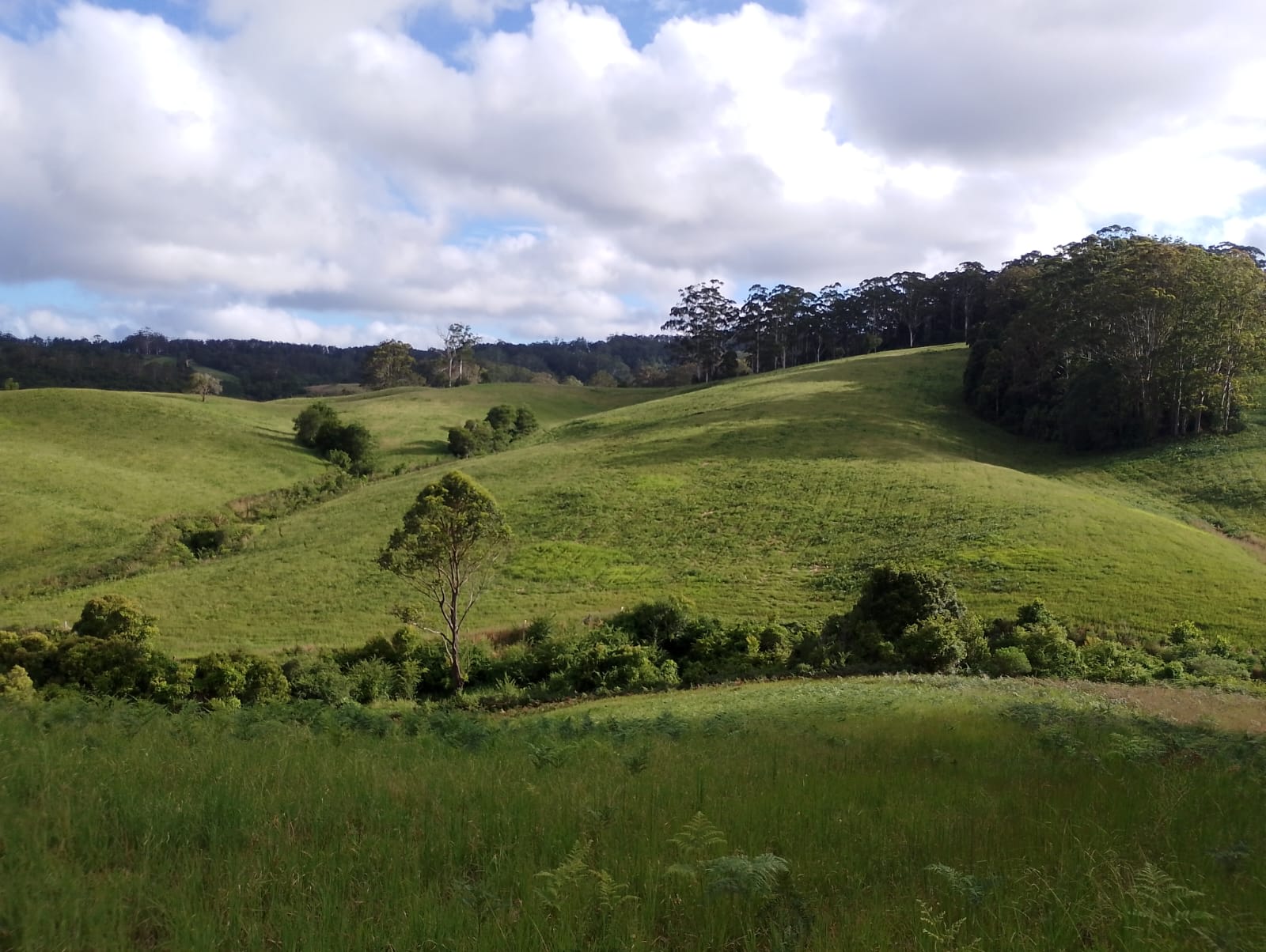 Looking across from our property to another 