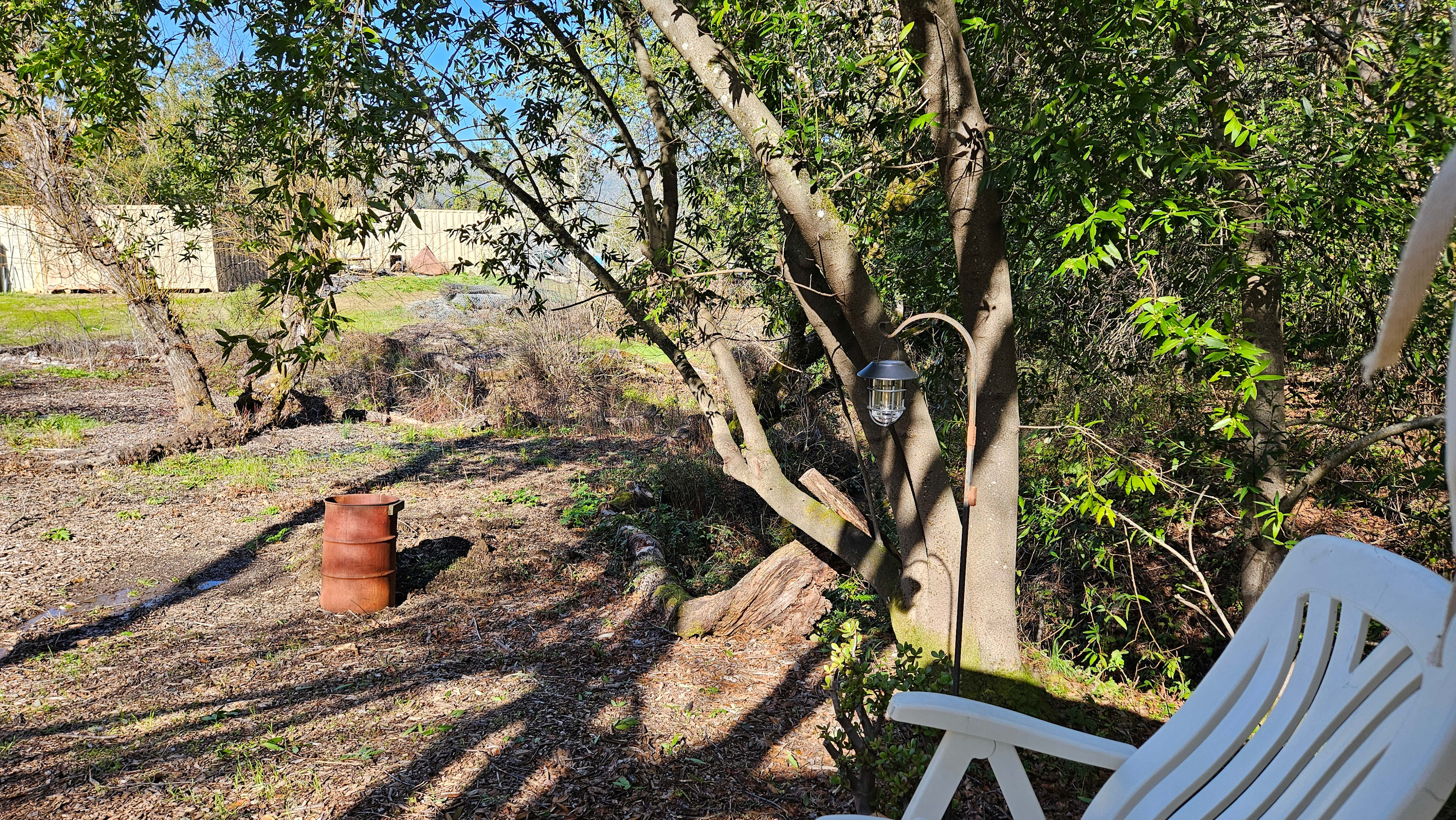 Santa Cruz Mountain Camping