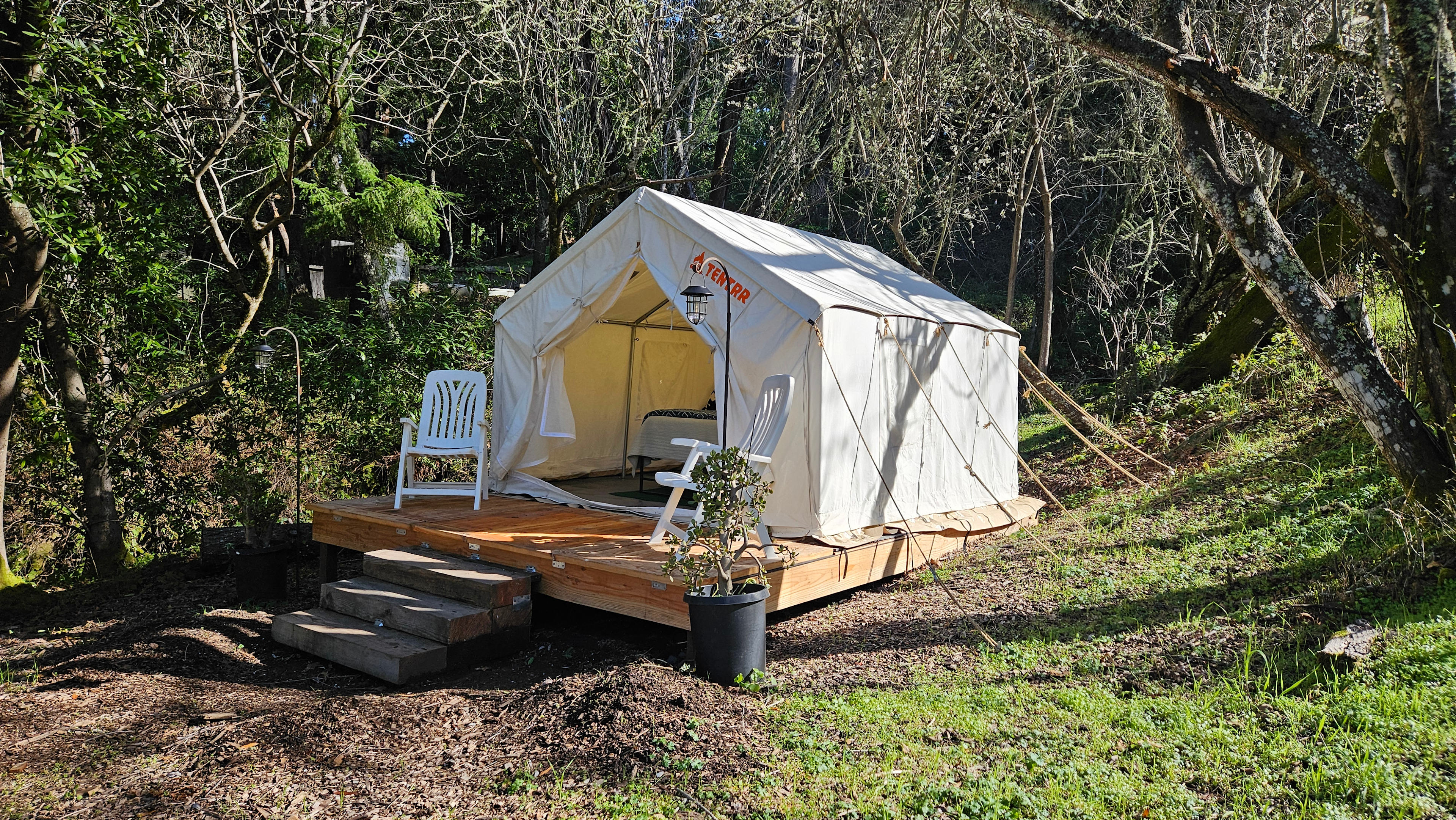 Santa Cruz Mountain Camping