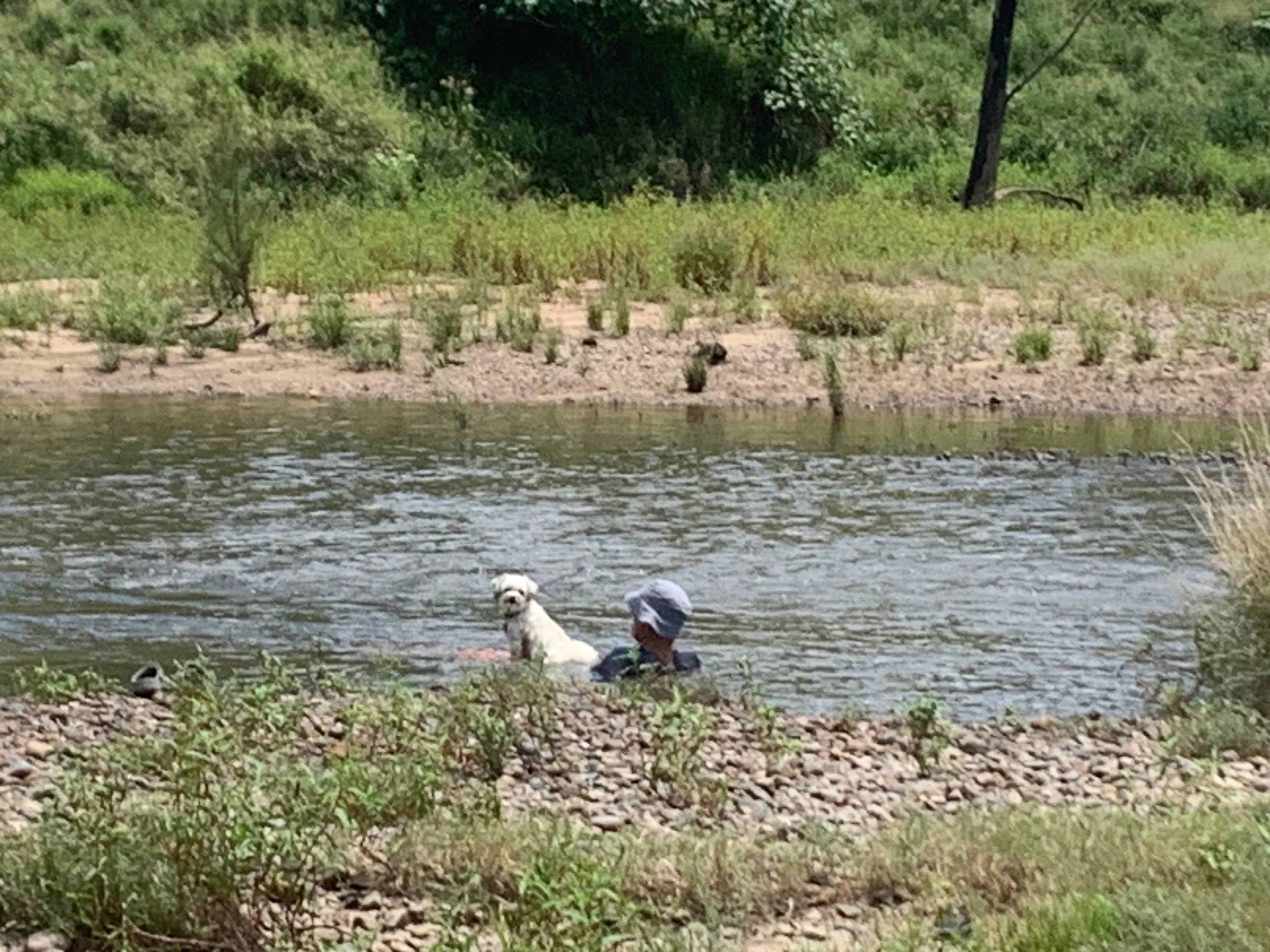 Relaxing in the Clarence