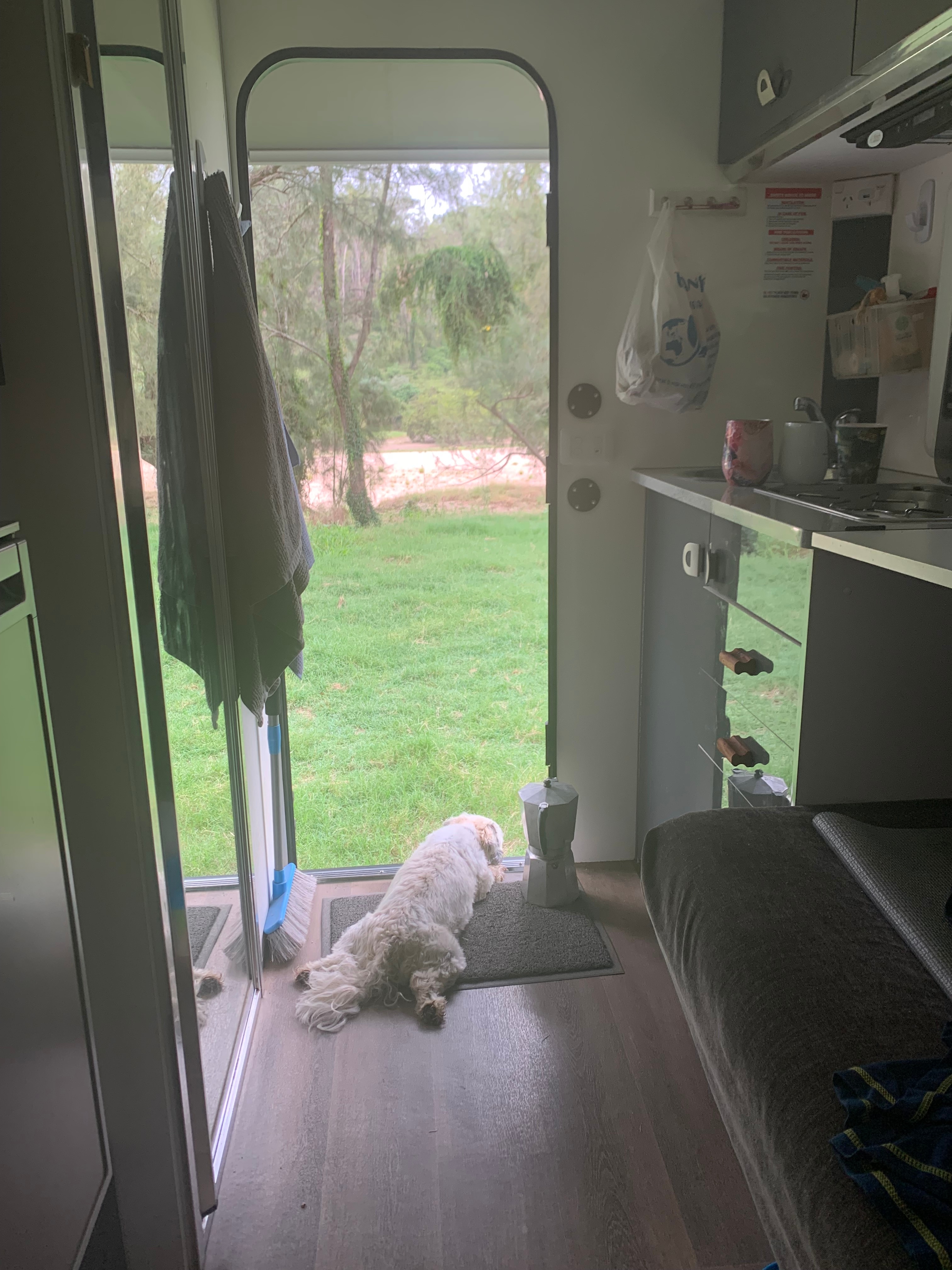 View of river from van