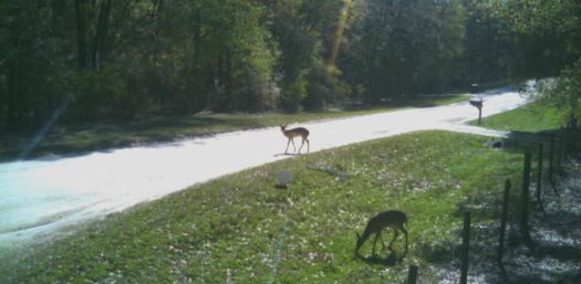 Paddle Dive Camp Rancho Mackintosh