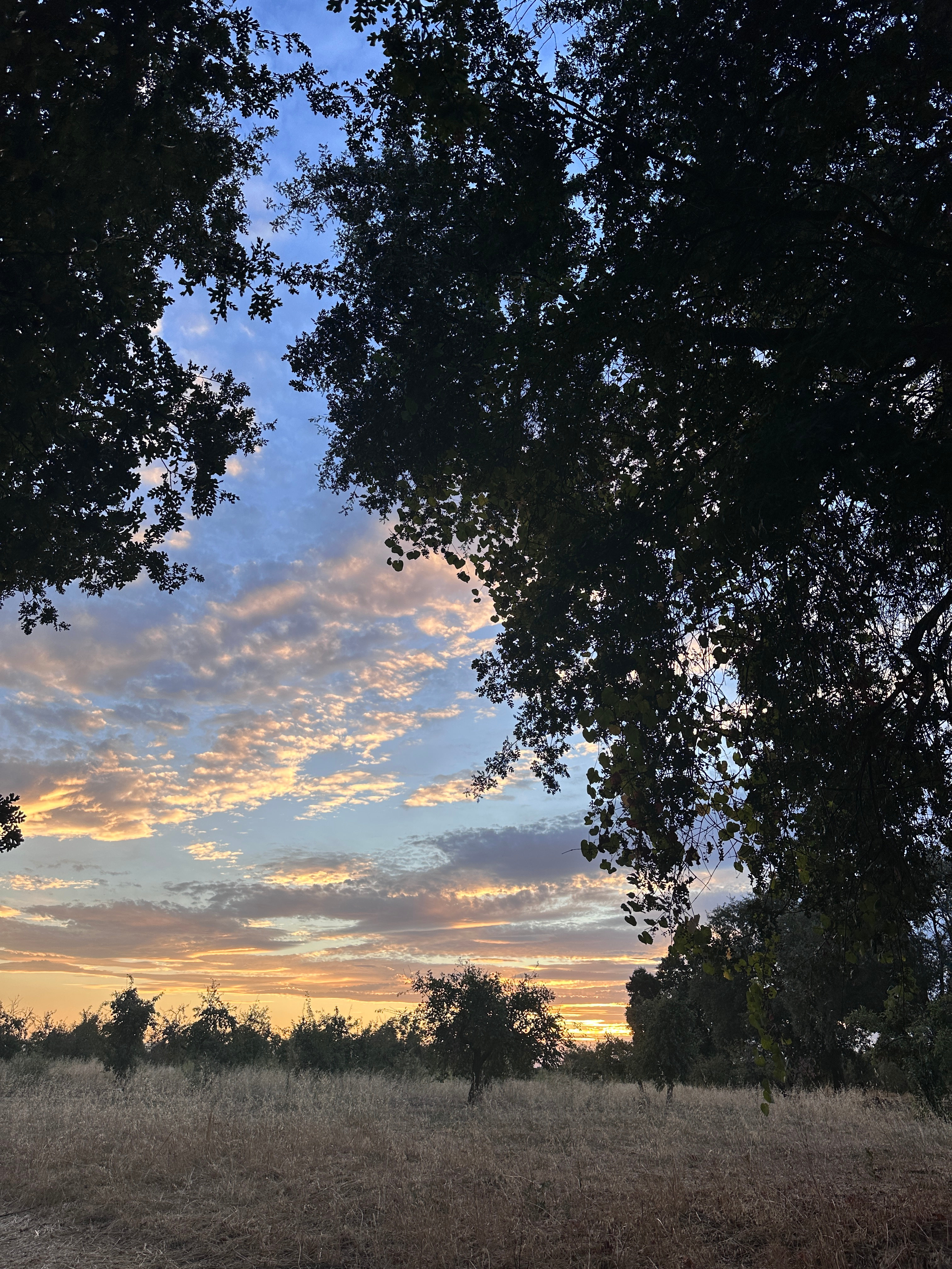 FullCircle Florals Flower Farm