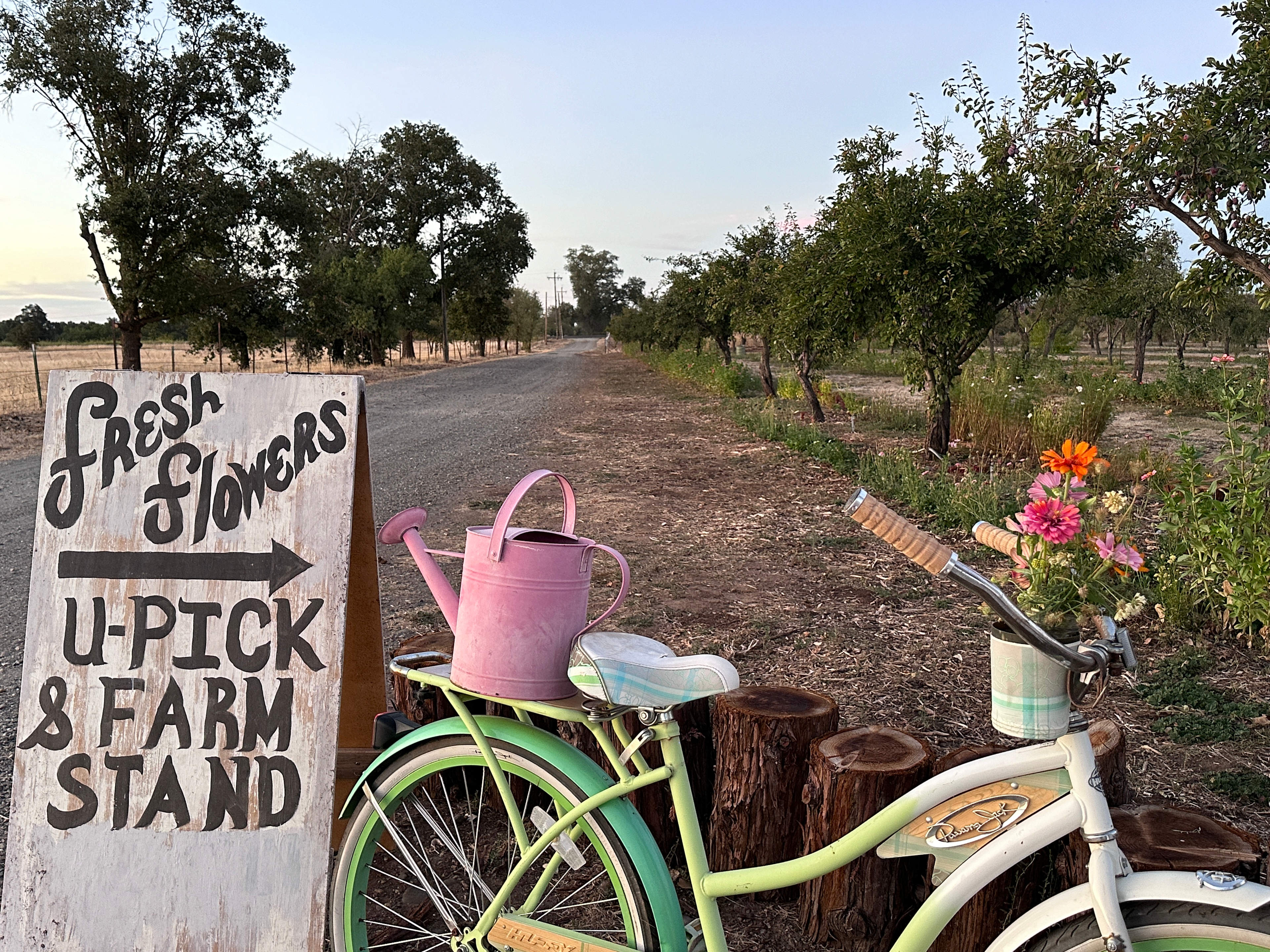 FullCircle Florals Flower Farm