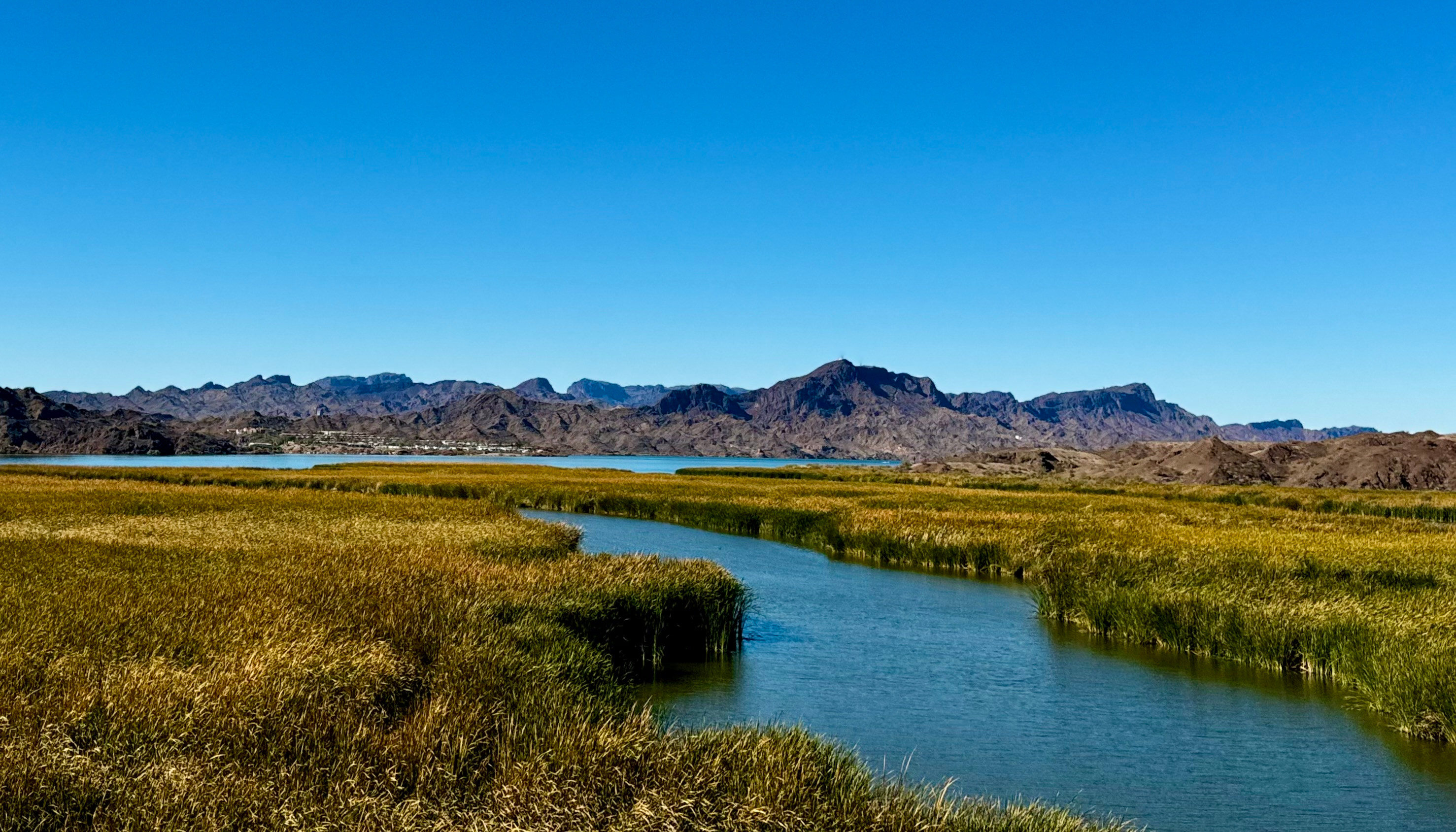 TD Rockin’ Ranchito