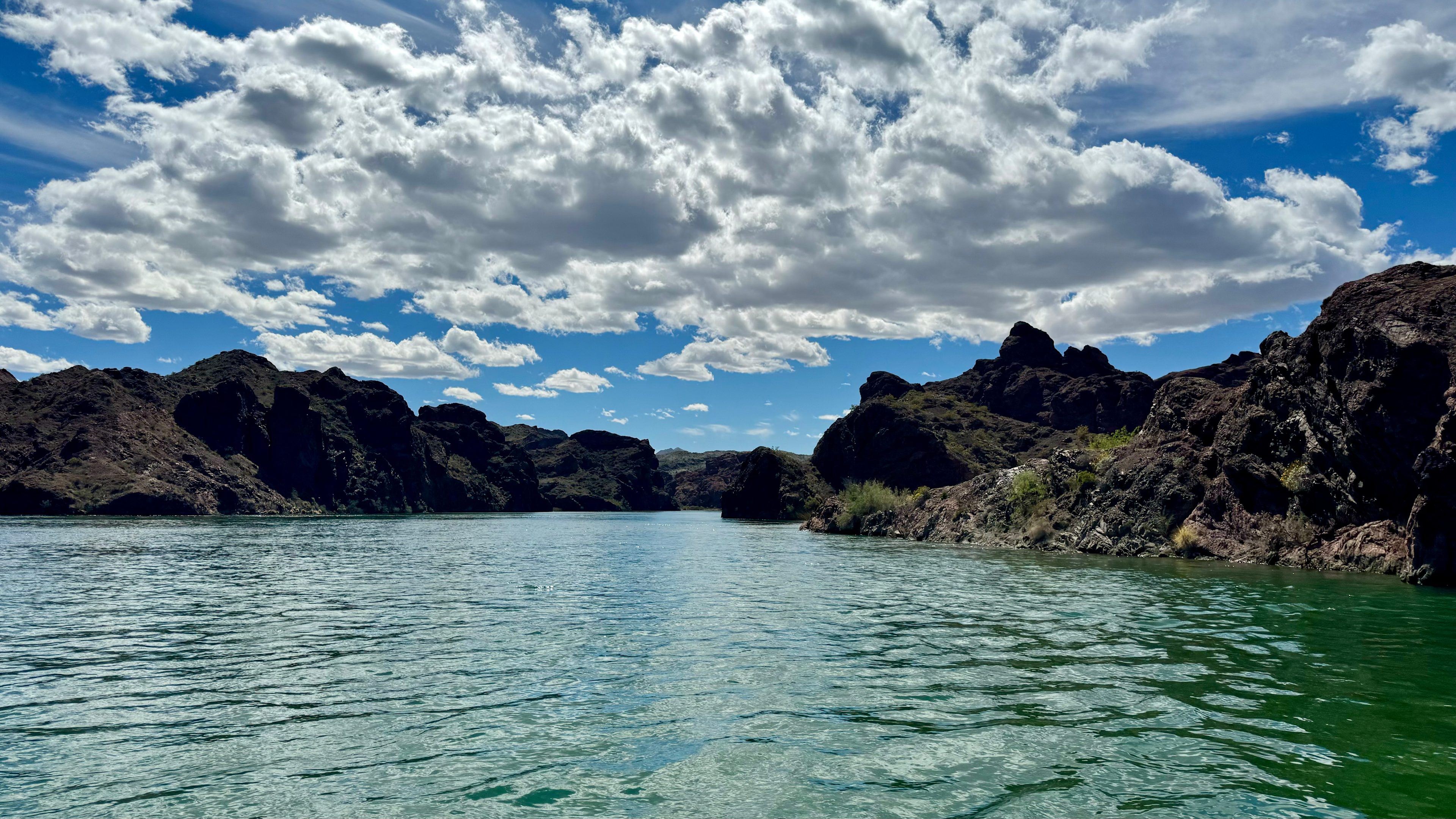 TD Rockin’ Ranchito