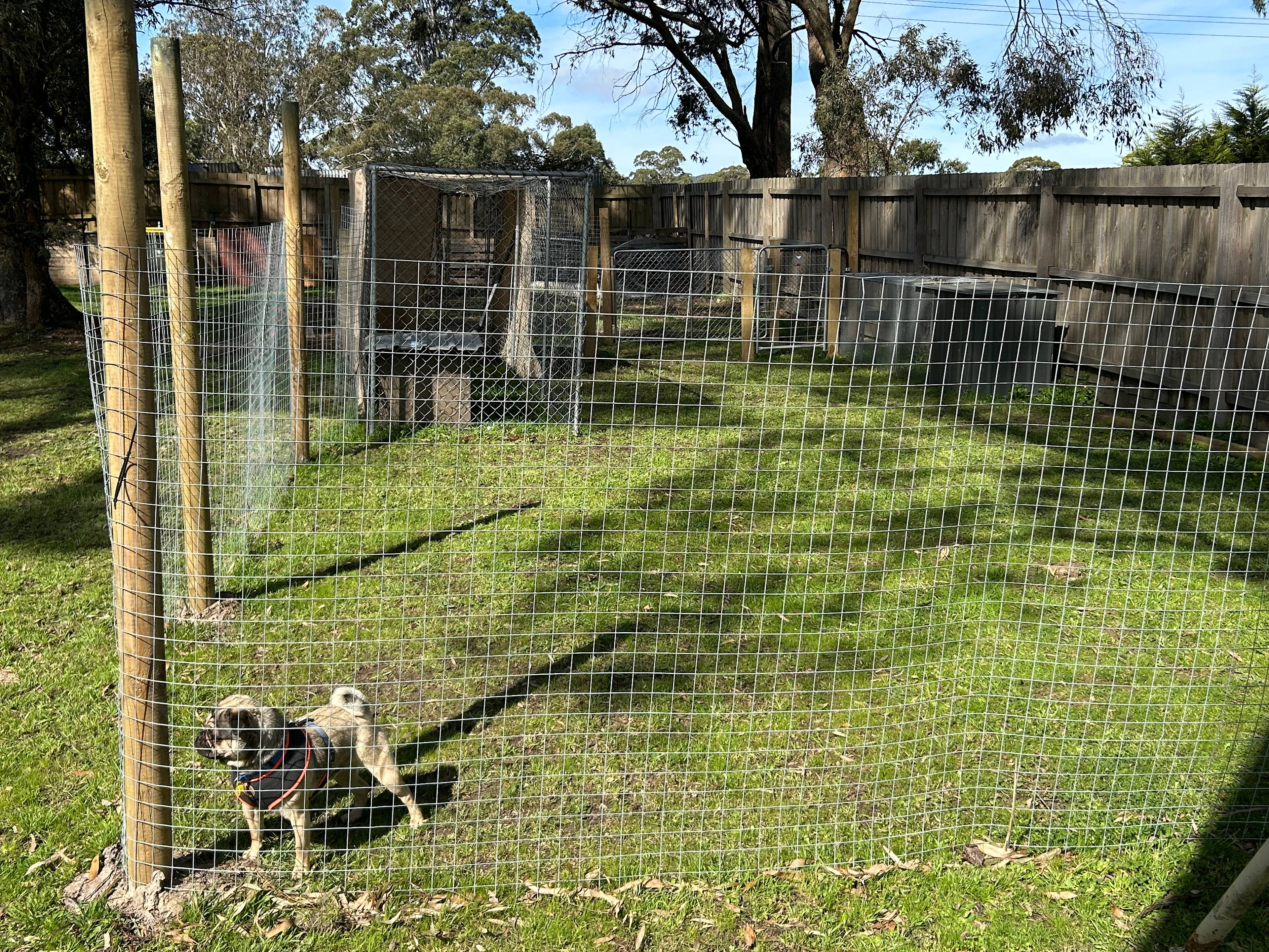 Woodmanshill Motel And Rose Park