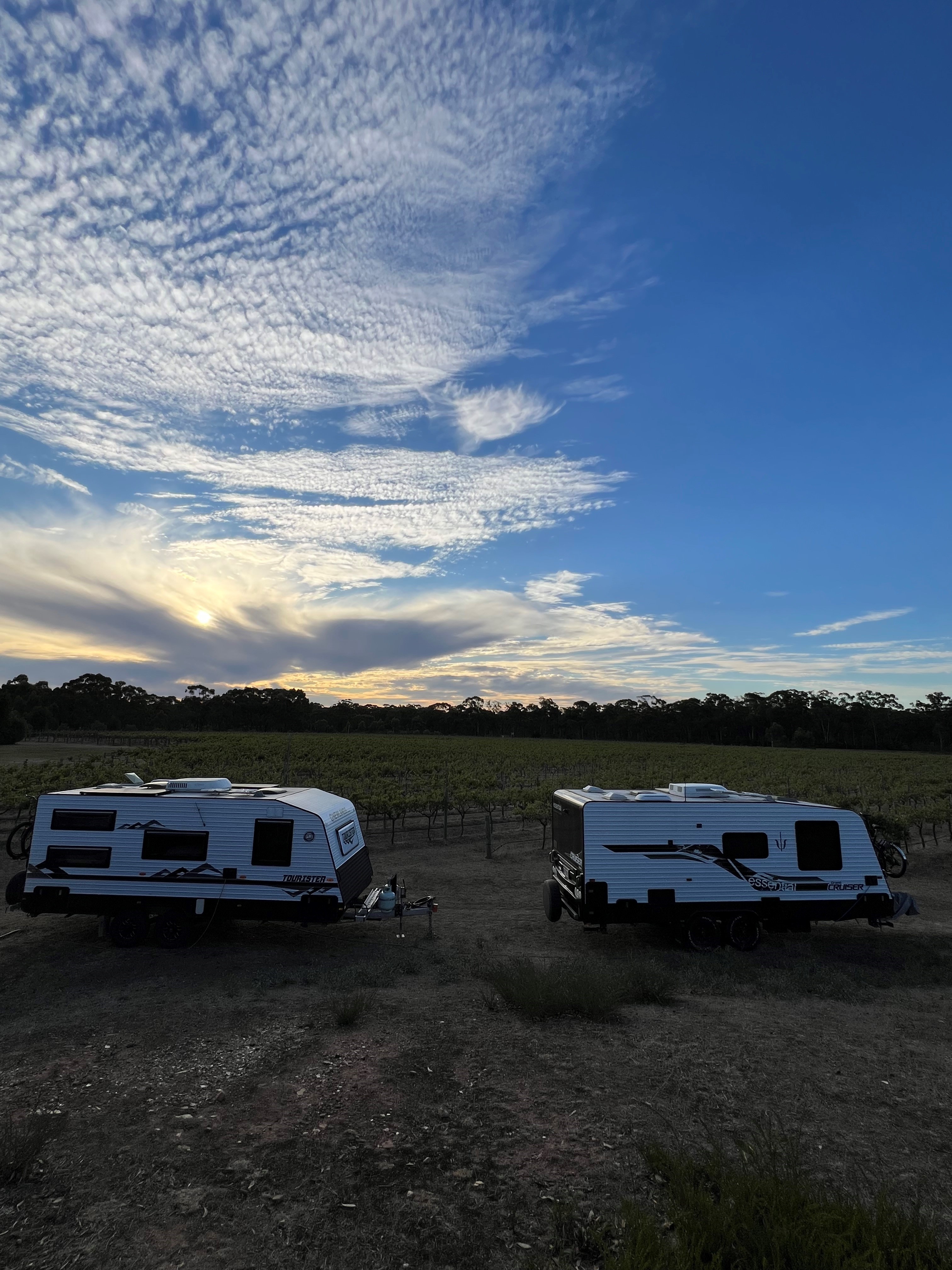 Sandhurst Ridge Vineyard