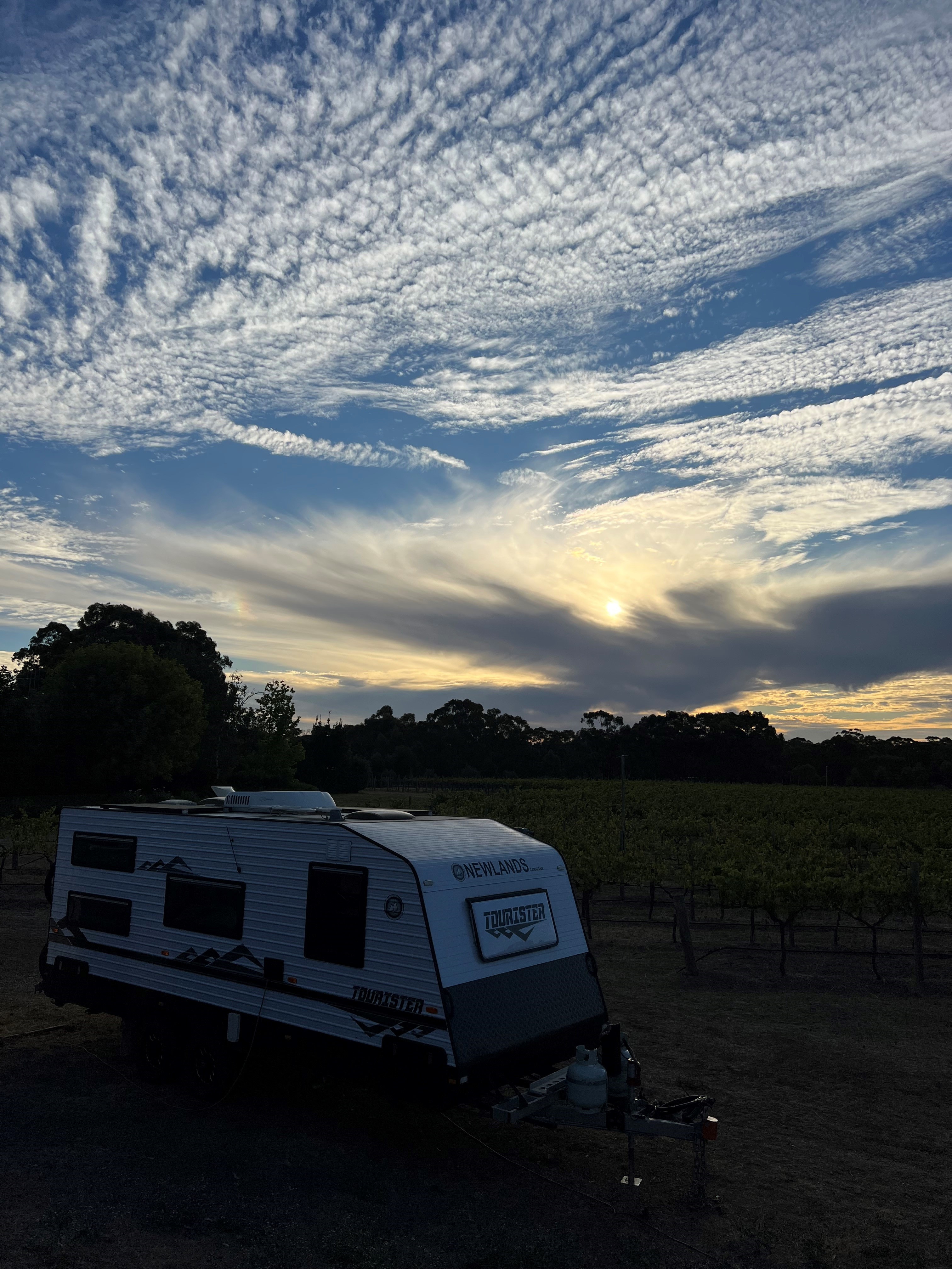 Sandhurst Ridge Vineyard