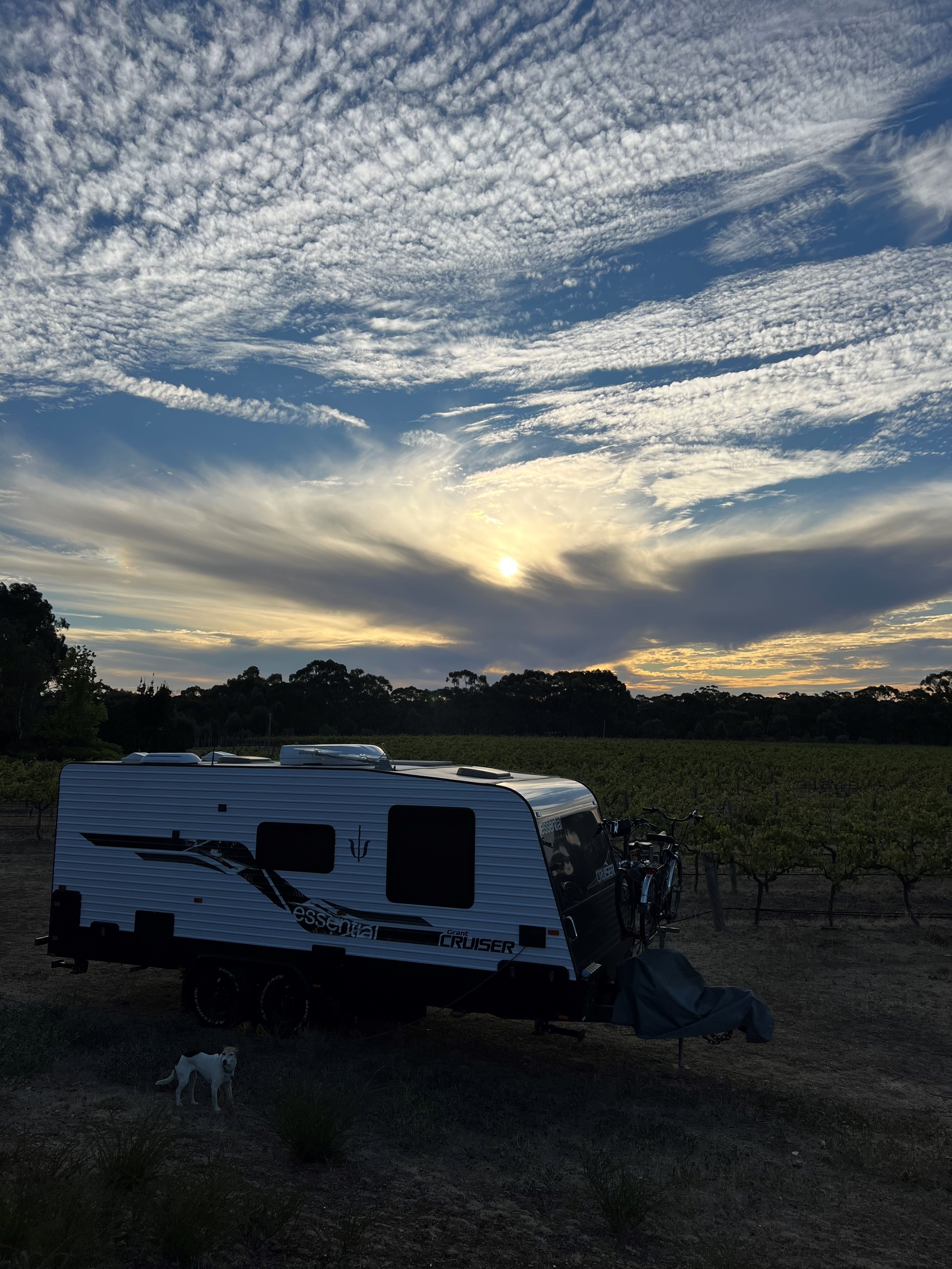 Sandhurst Ridge Vineyard