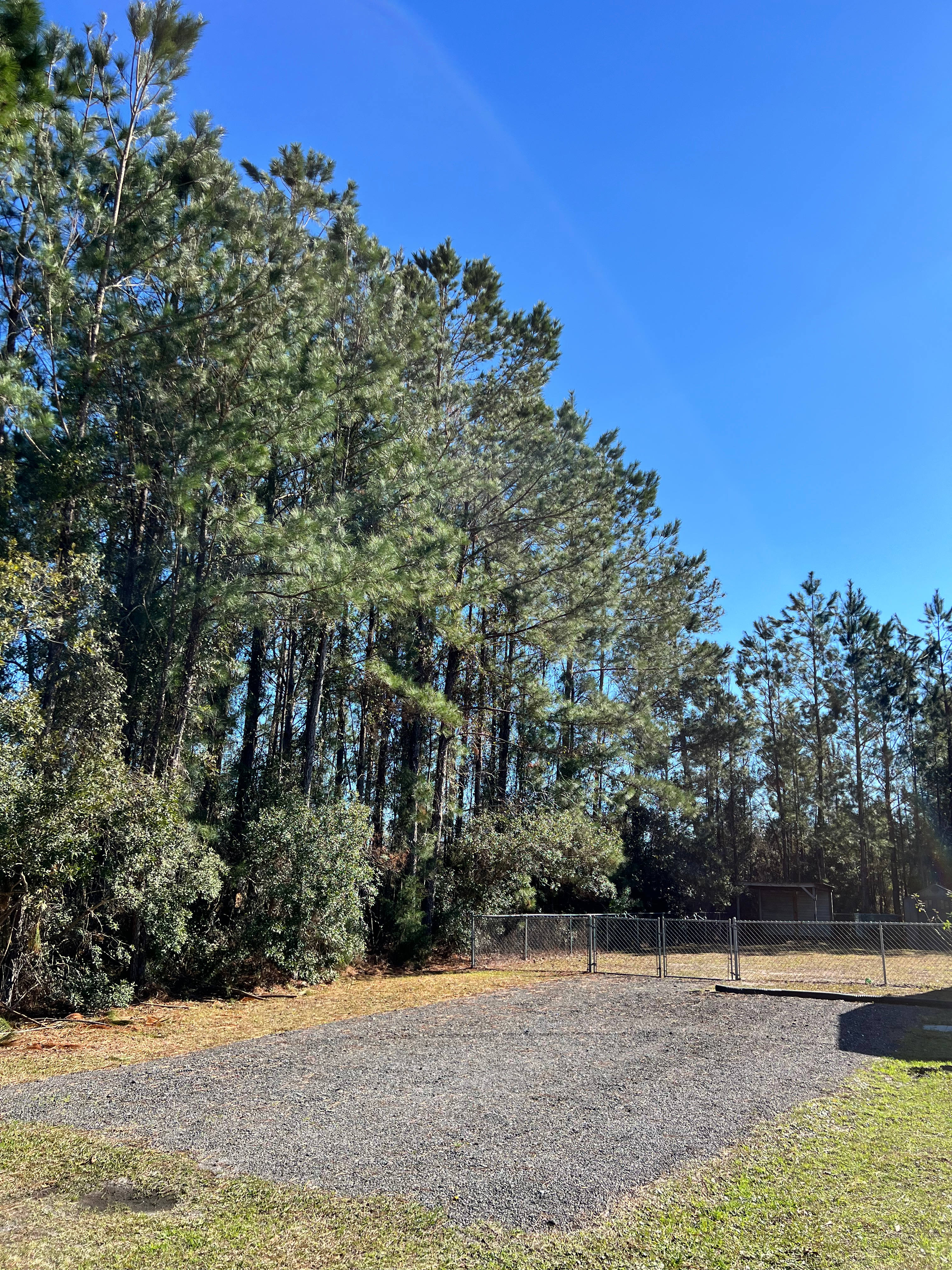 Country Camp, Close To Jekyll !