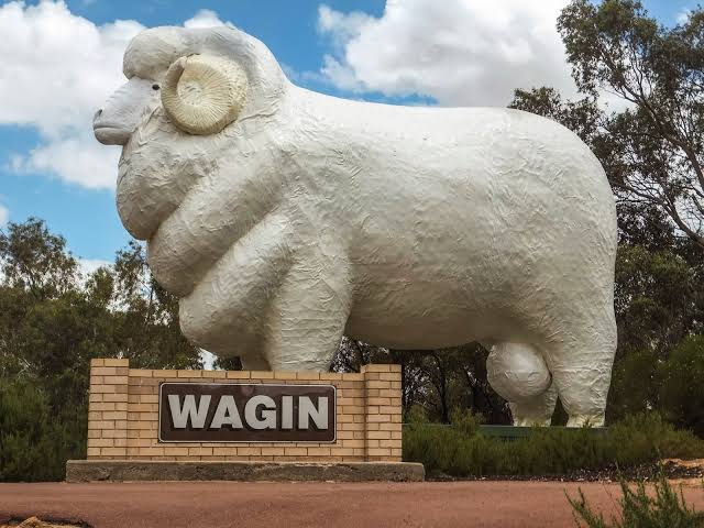 Omdurman Nature Nook