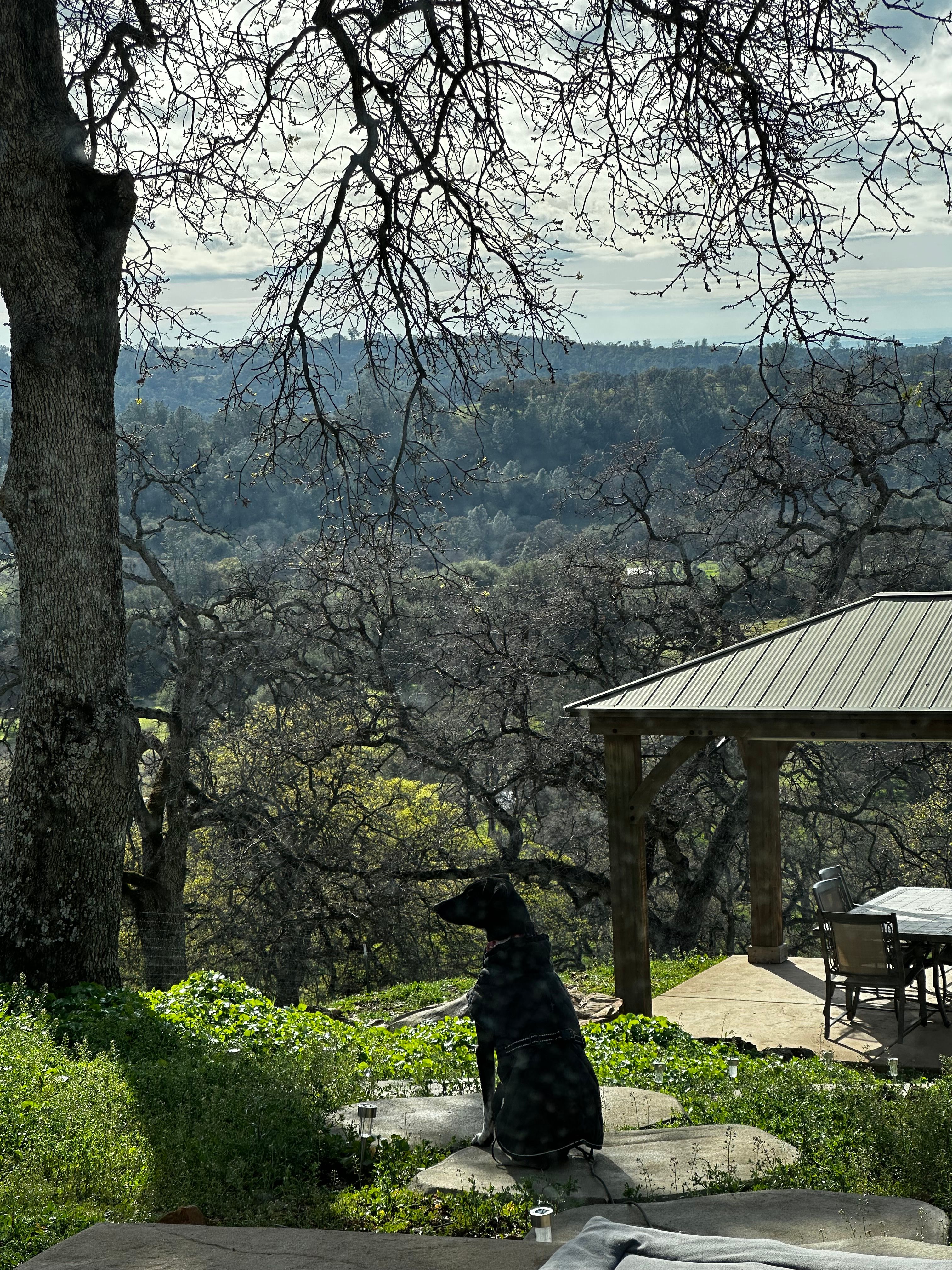 Serene Country Paradise