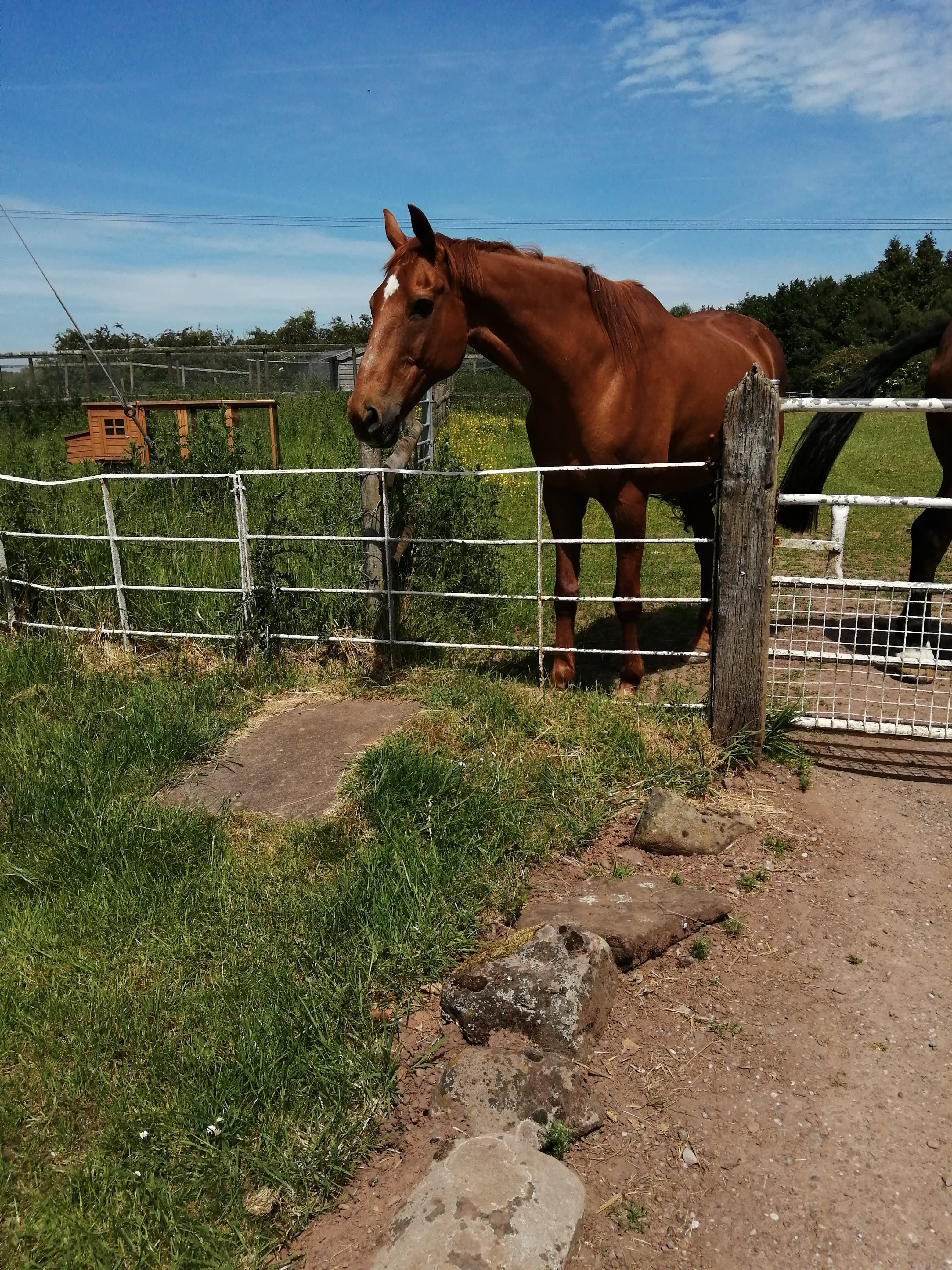 Park Hill Farm