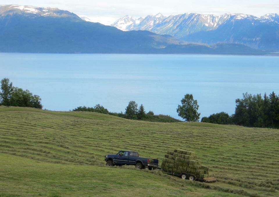 Famous Kilcher Family Homestead
