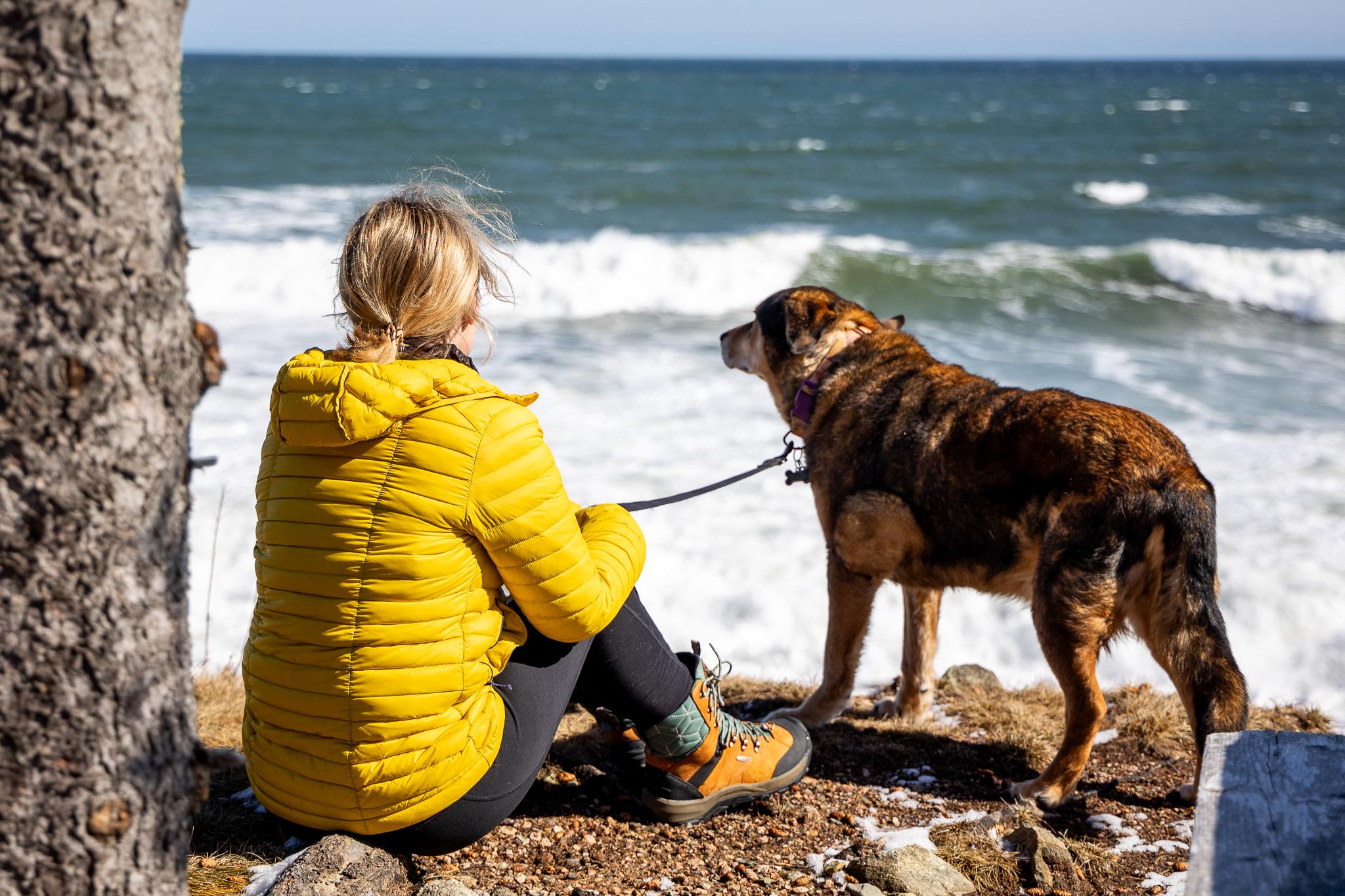 The Dancing Moose Vacation rentals