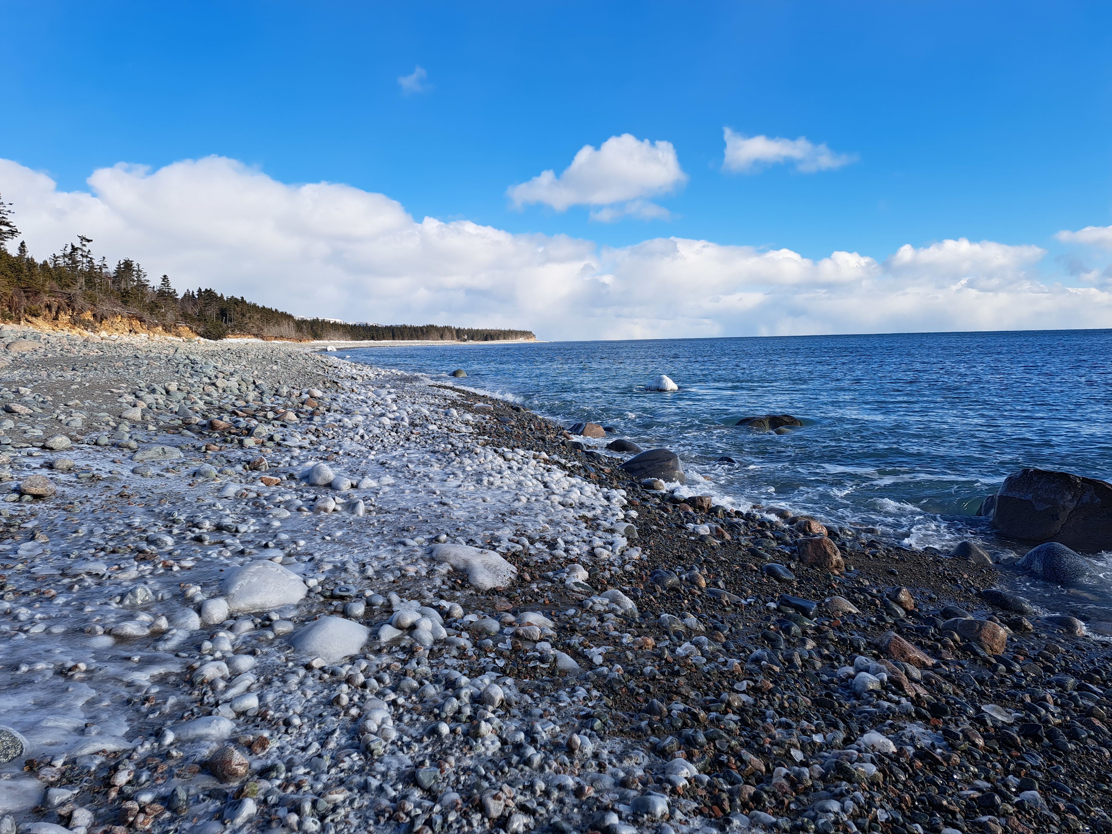 The Dancing Moose Vacation rentals