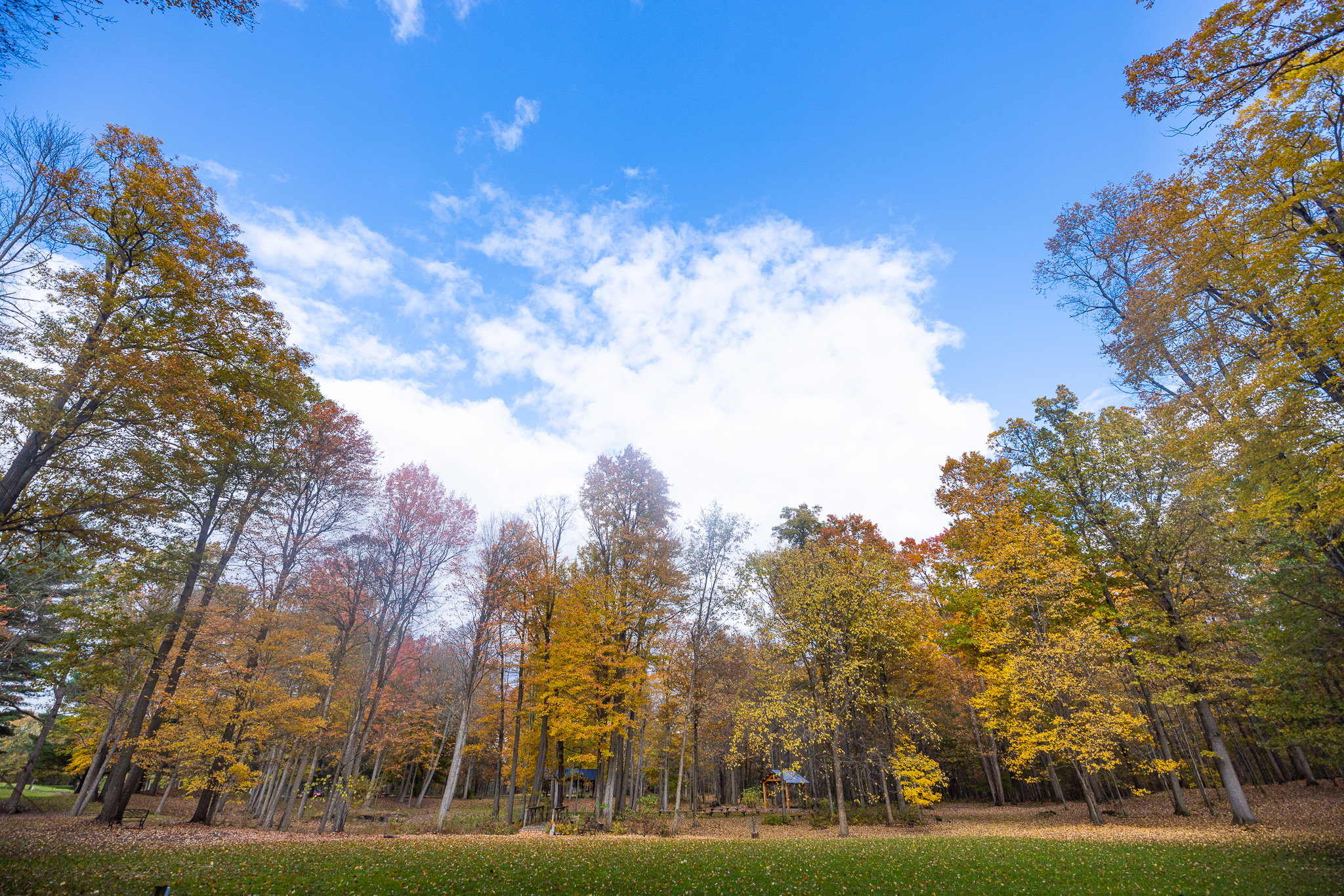 Fernwood Hills