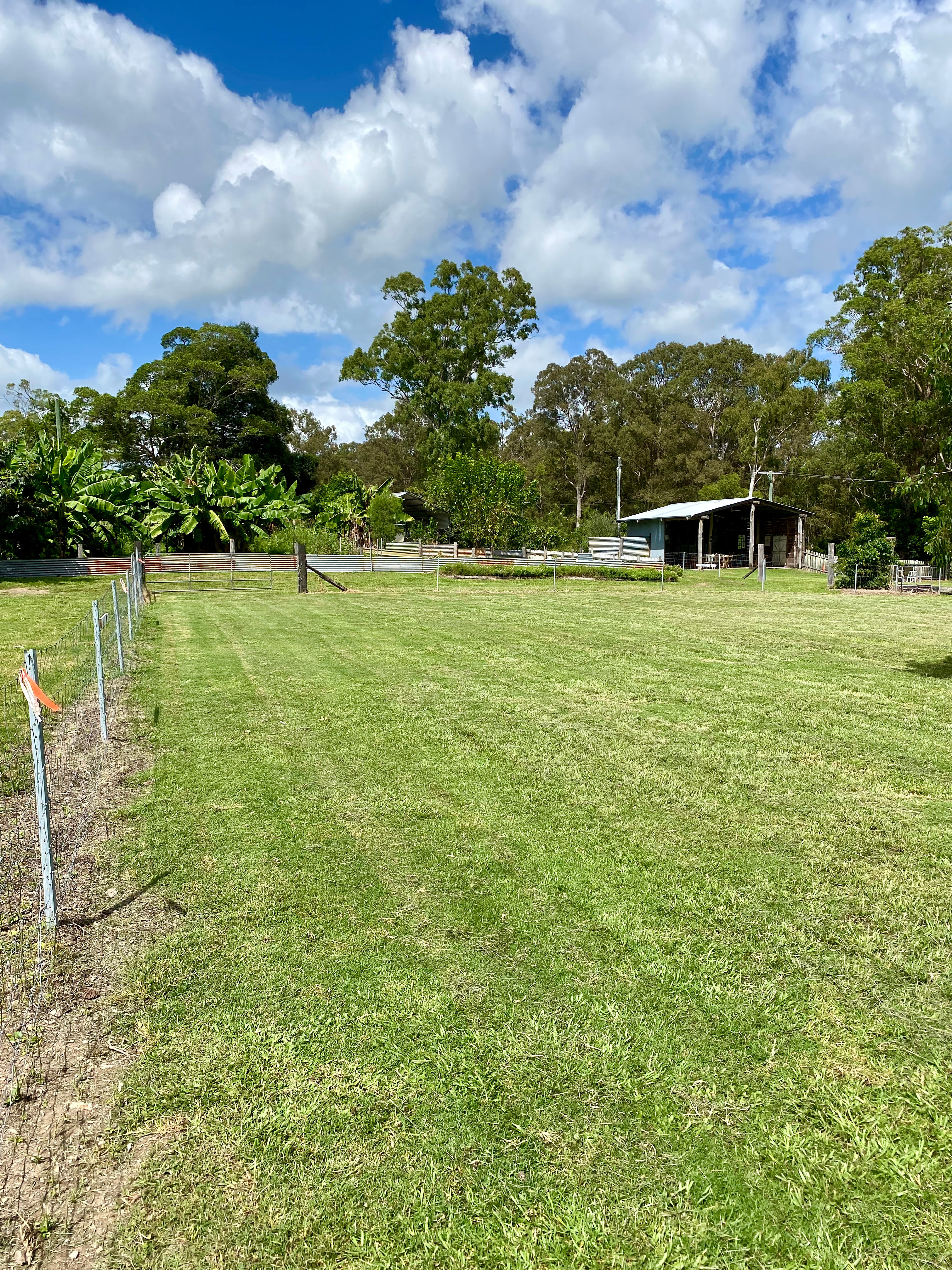 Bellwood Homestead Campground