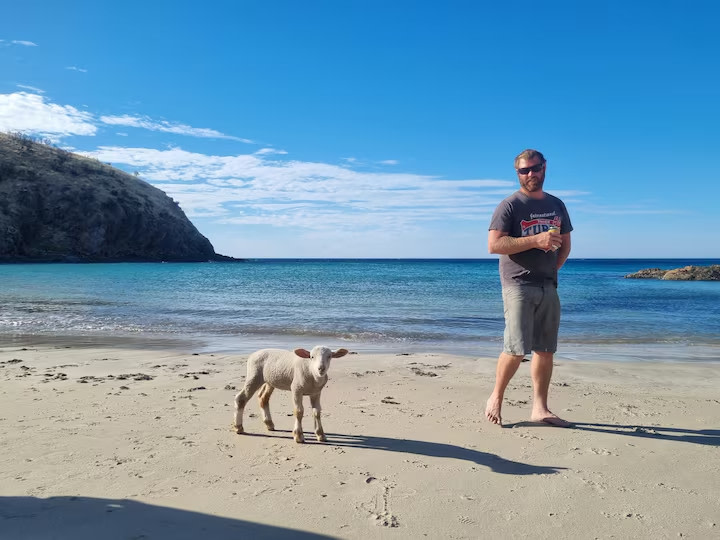 Roo Lagoon Homestead