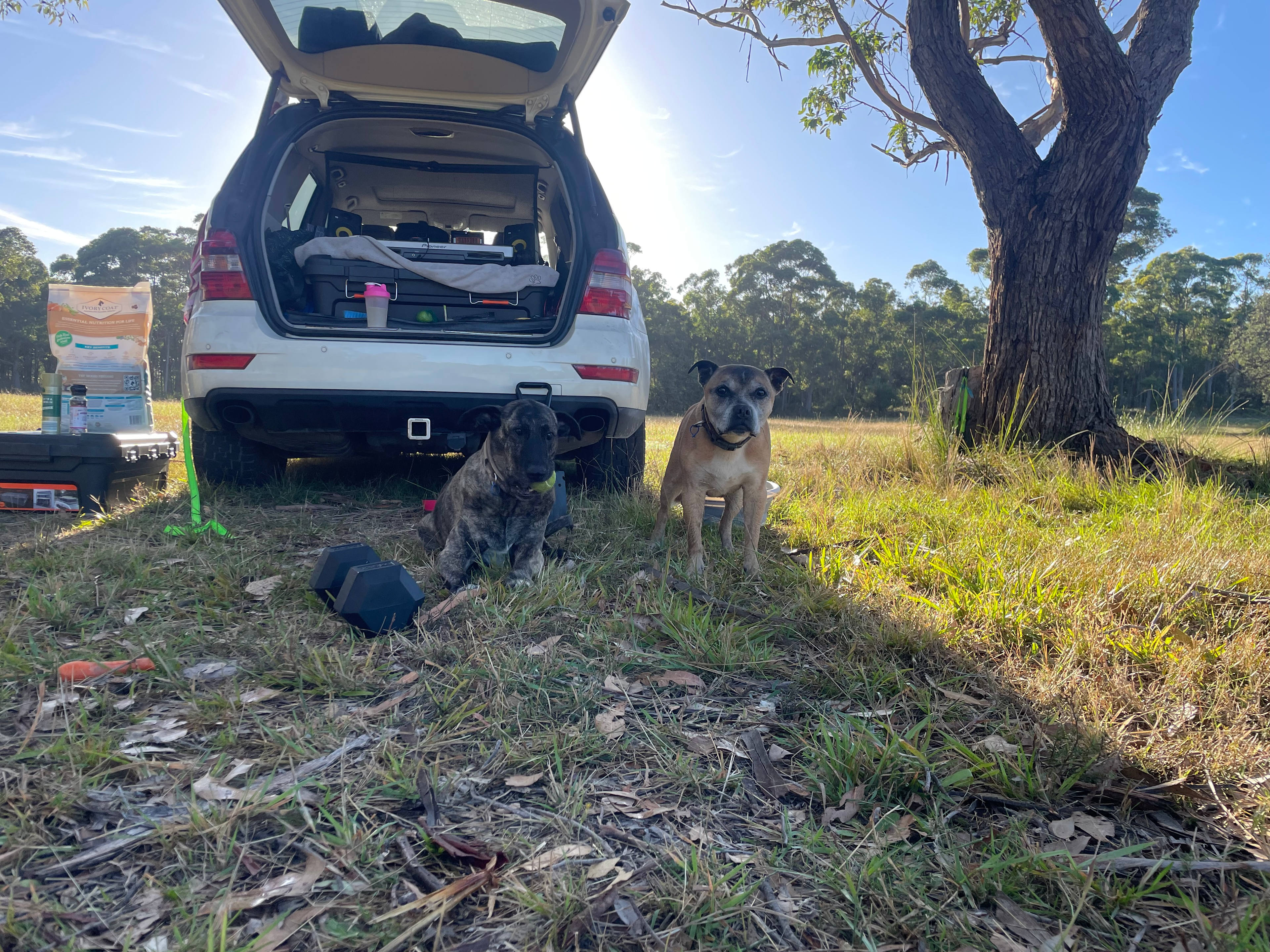 Lake Corringle Camp Park