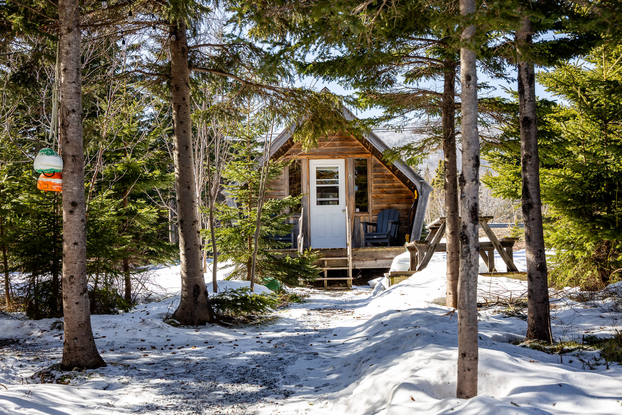 The Dancing Moose Vacation rentals