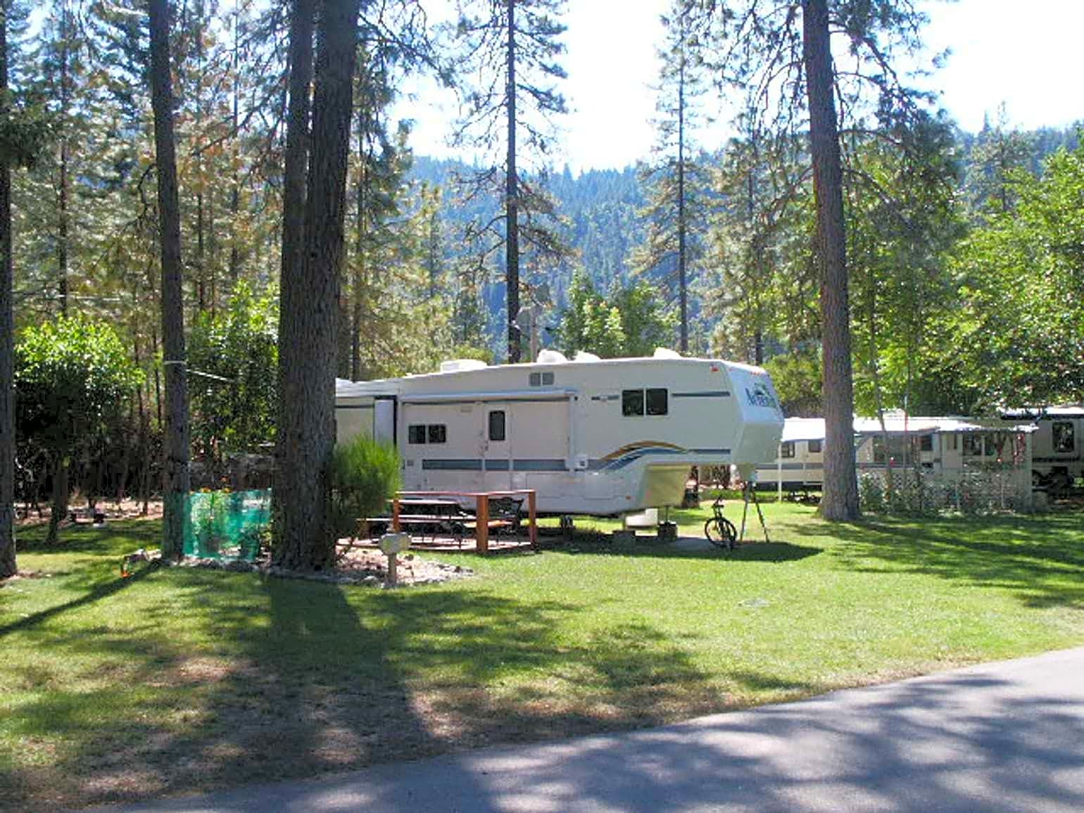 50 Amp Partial Hook Up Shaded (Back-In)